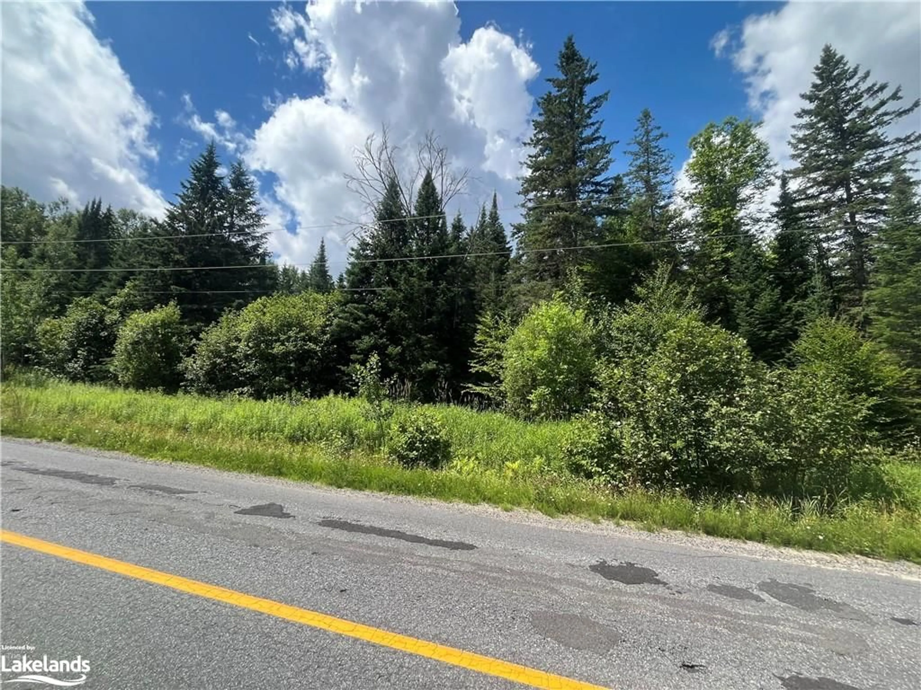 Forest view for 640 Hoodstown Rd, Huntsville Ontario P1H 2J2