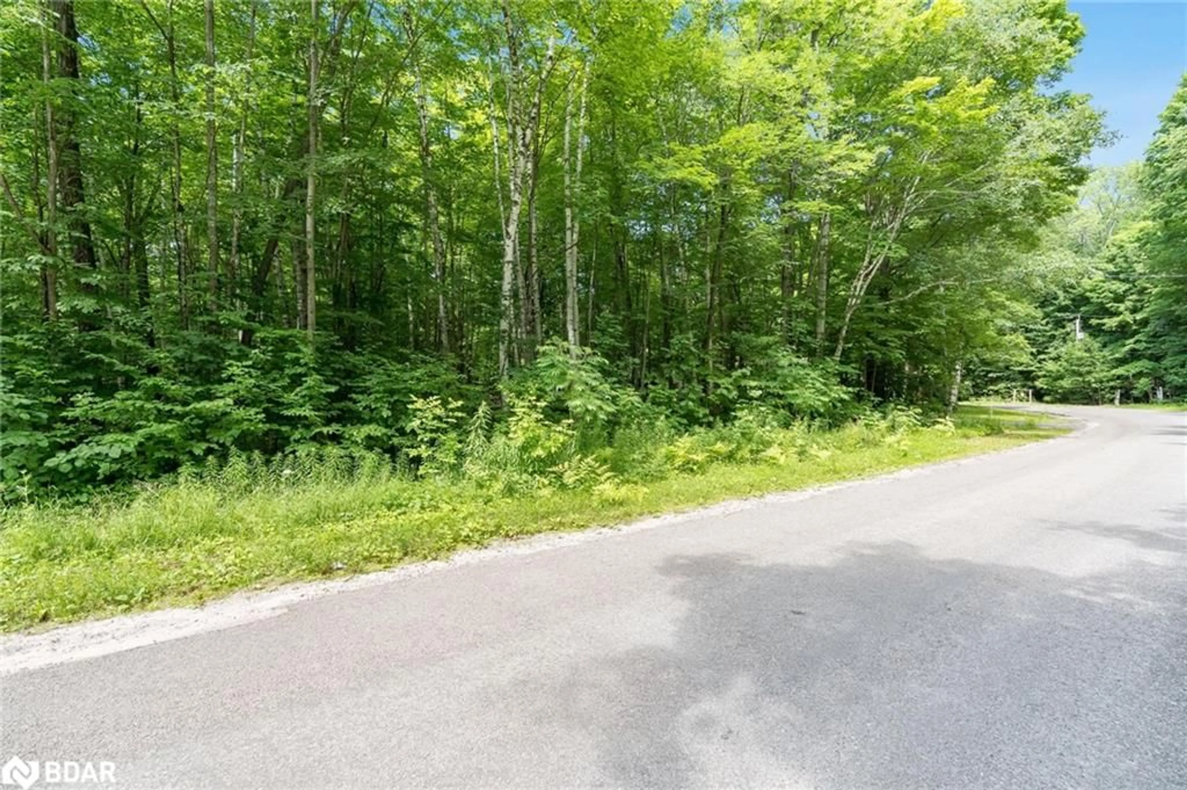 Forest view for 88 Silver Birch Dr, Tiny Ontario L9M 0B6