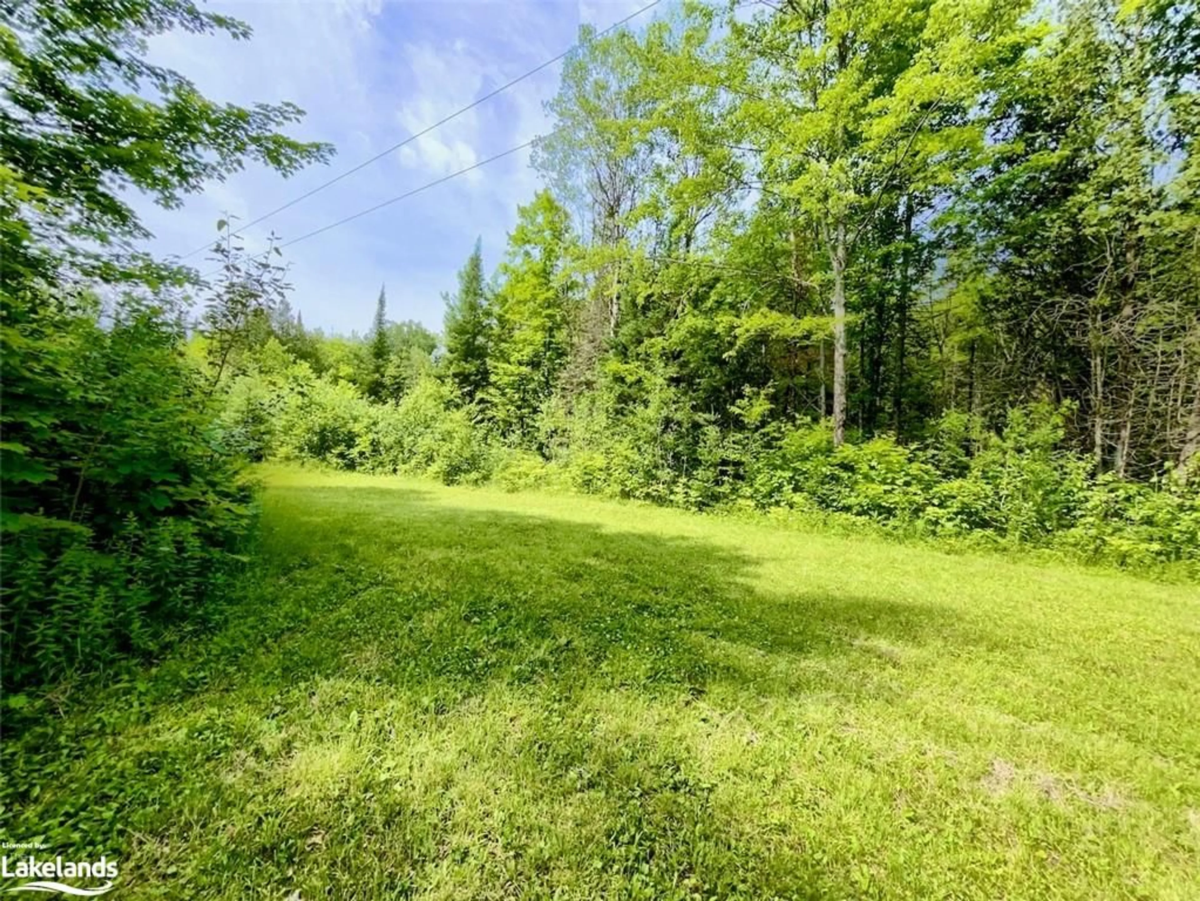 Forest view for 1579 Buller Rd, Minden Ontario K0M 2L1
