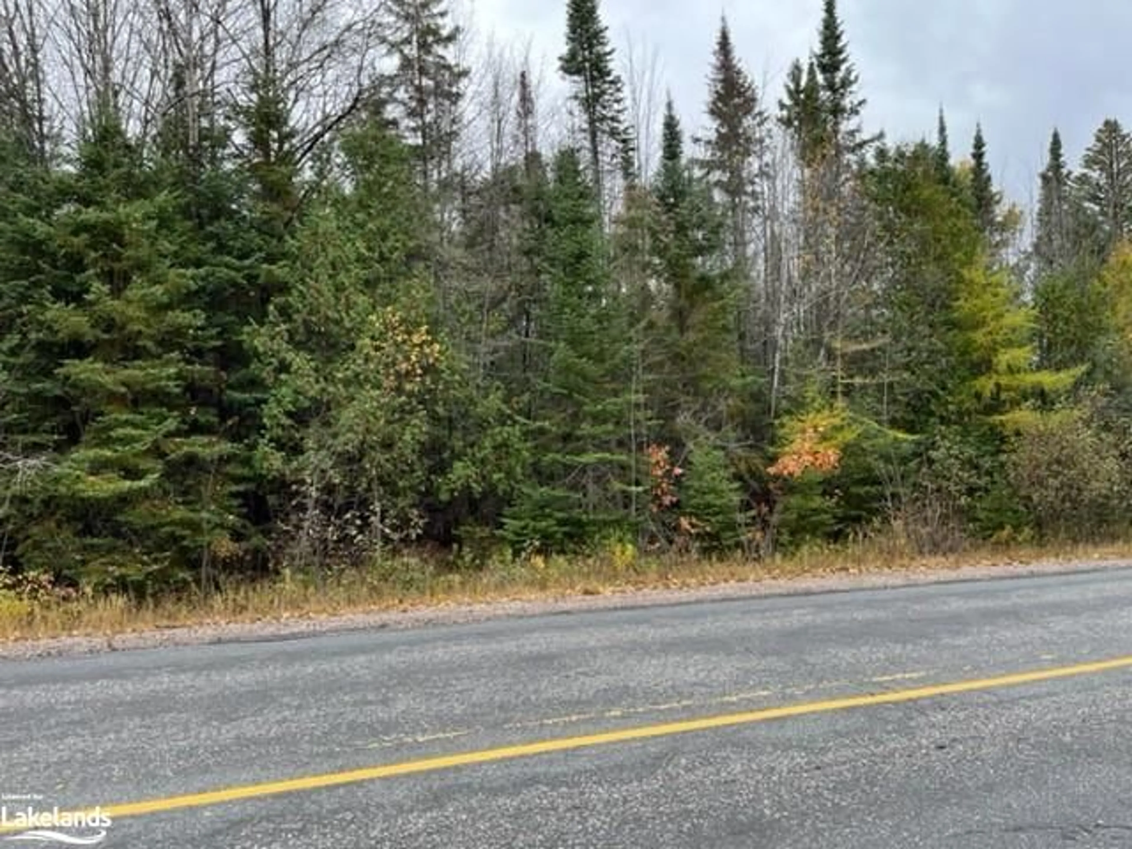 Forest view for 0 534 Hwy, Nipissing Ontario P0H 1W0