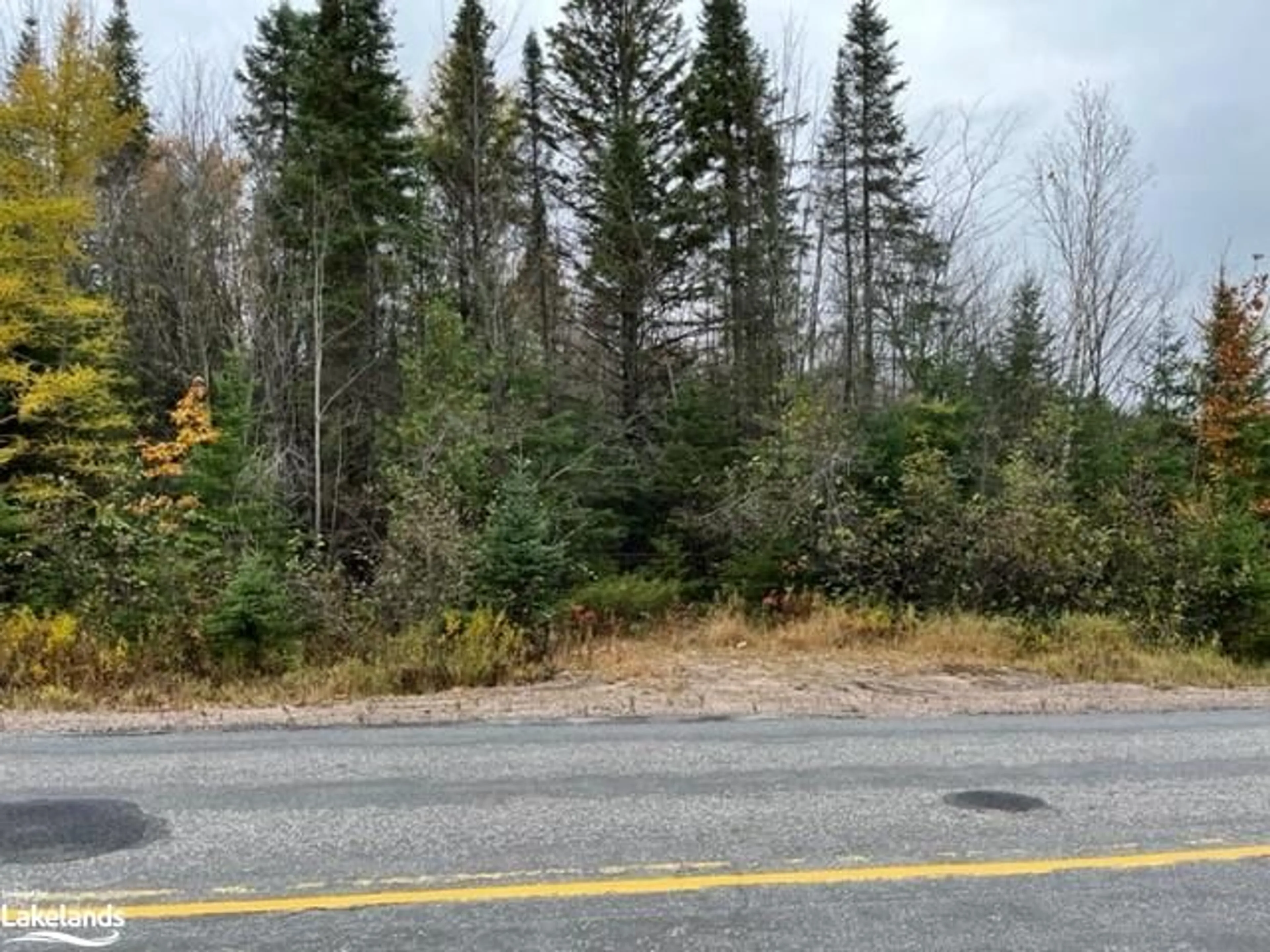 Forest view for 0 534 Hwy, Nipissing Ontario P0H 1W0