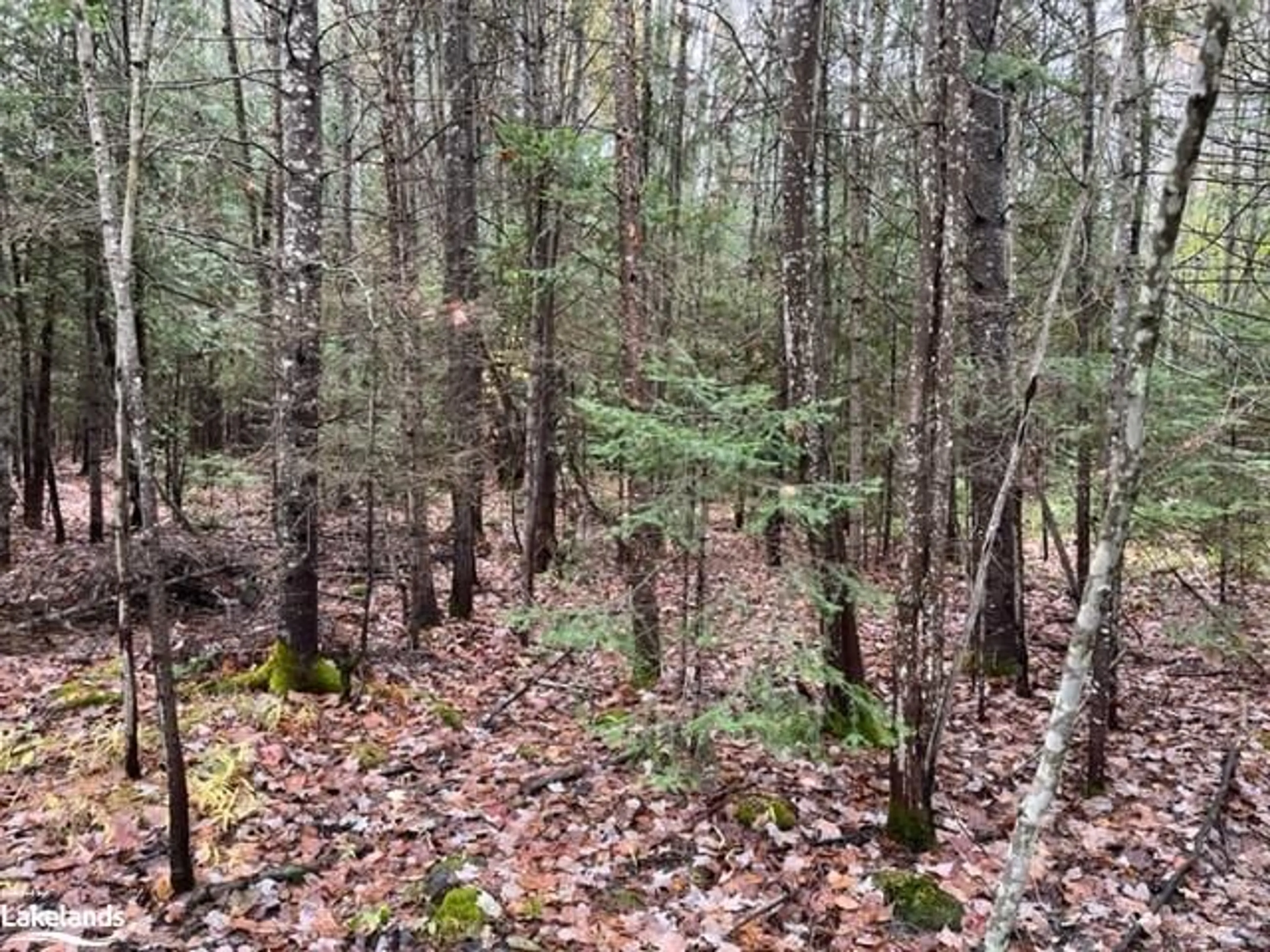 A pic of a room, unknown floor for 0 534 Hwy, Nipissing Ontario P0H 1W0