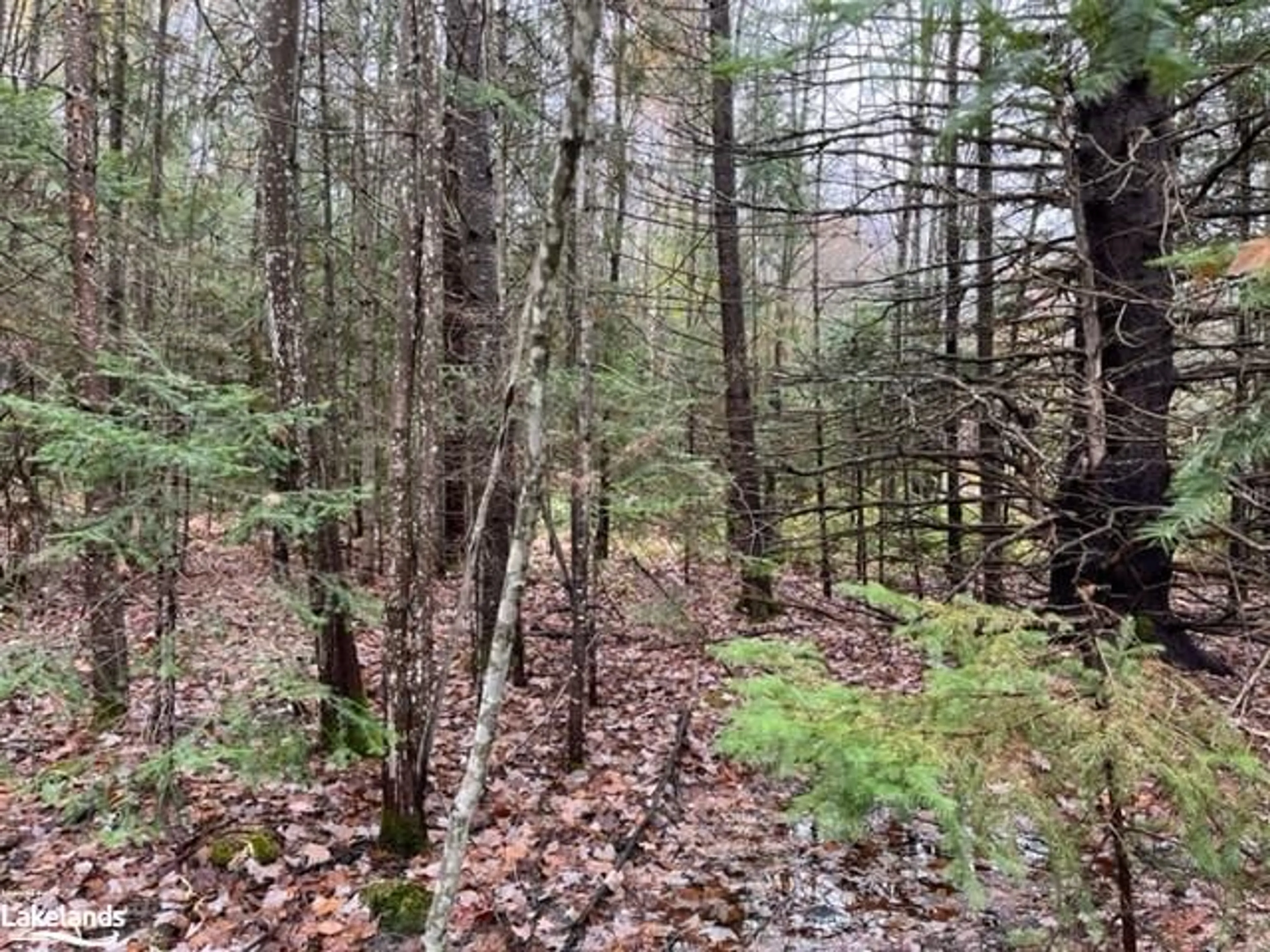 A pic of a room, unknown floor for 0 534 Hwy, Nipissing Ontario P0H 1W0