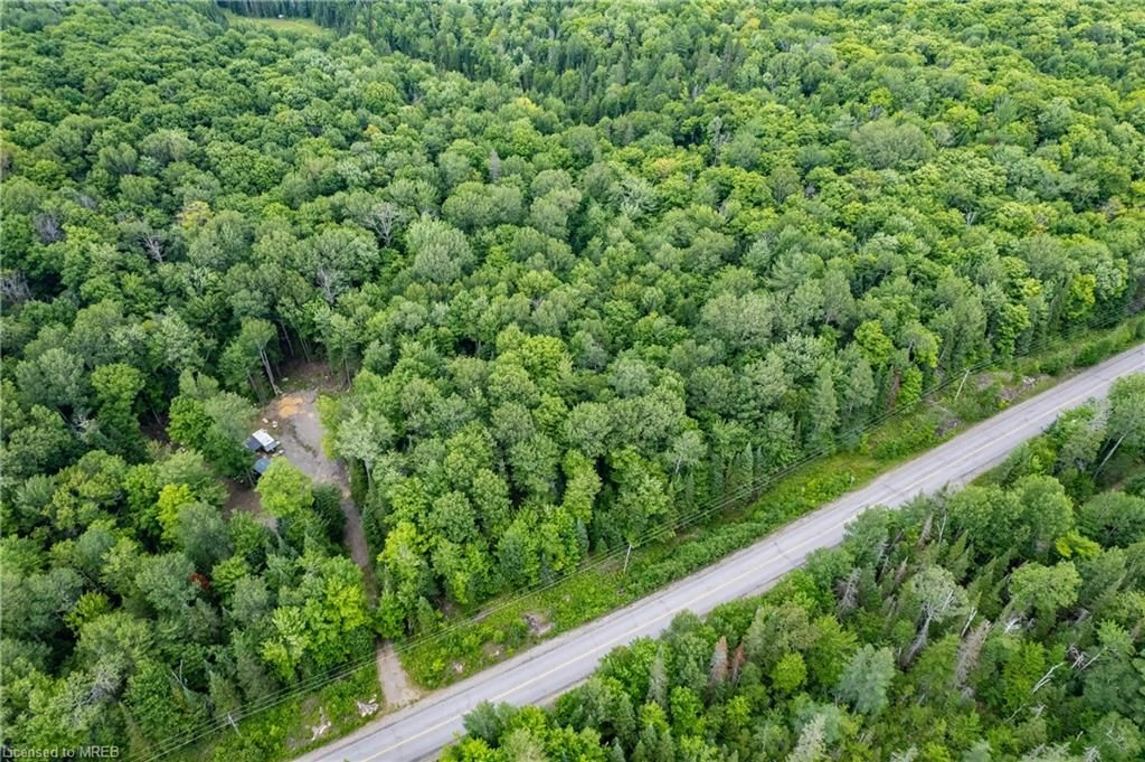 A pic from exterior of the house or condo, forest for 2978 Glamorgan Rd, Haliburton Ontario K0M 1S0