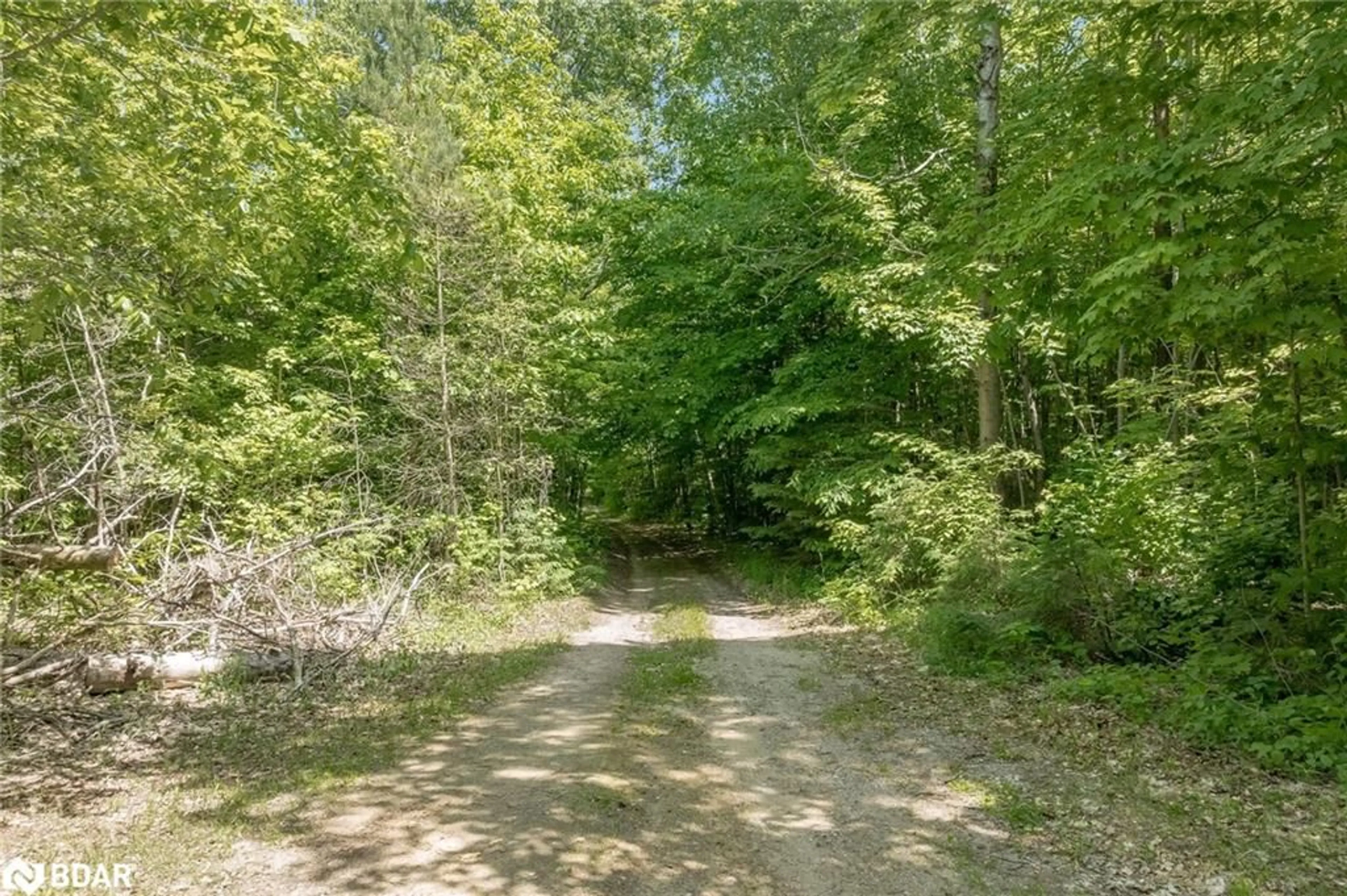 Forest view for 275 Macavalley Rd, Tiny Ontario L9M 0G6