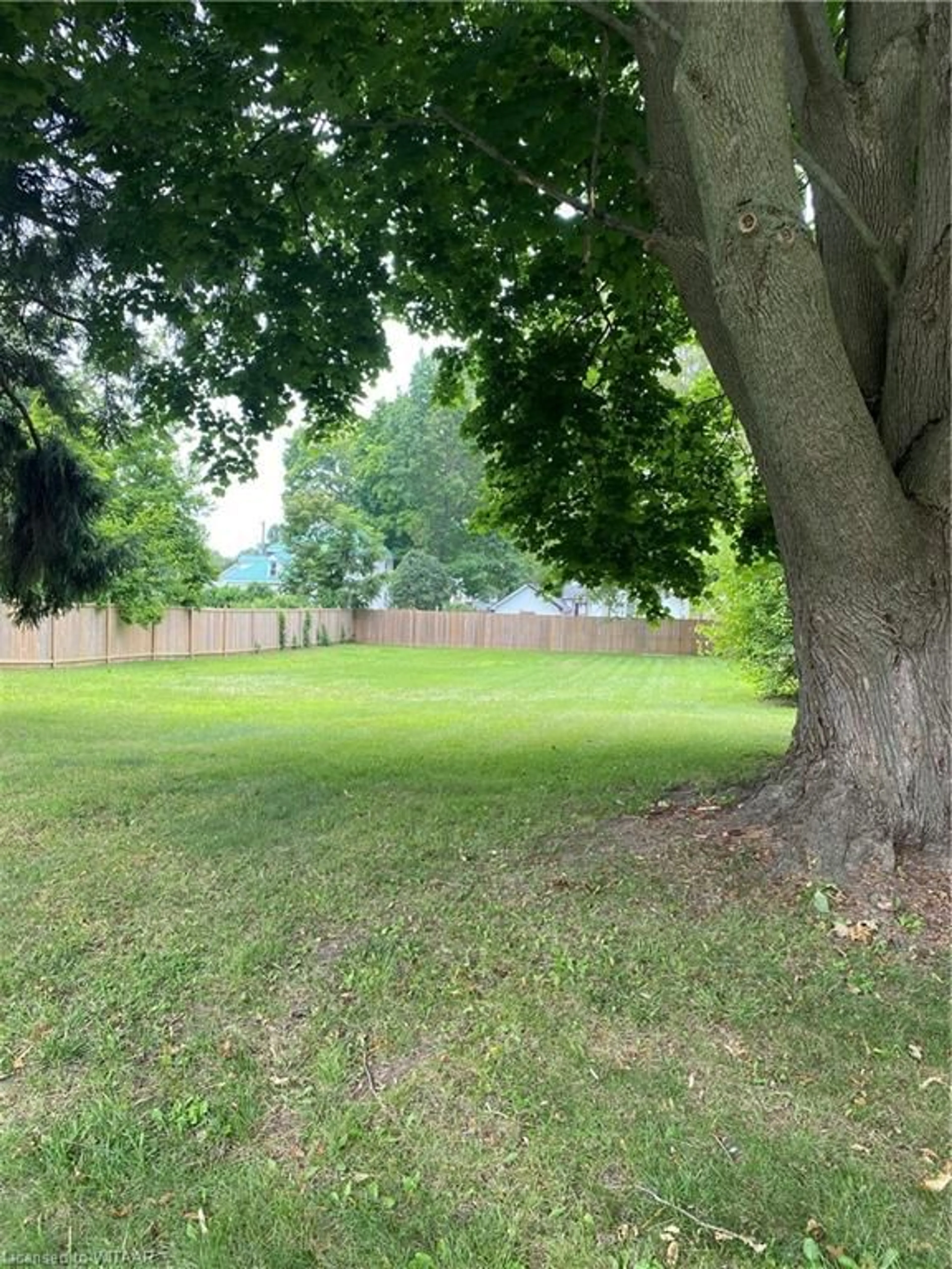 Fenced yard for 48 Milton St, Port Burwell Ontario N0J 1Z0