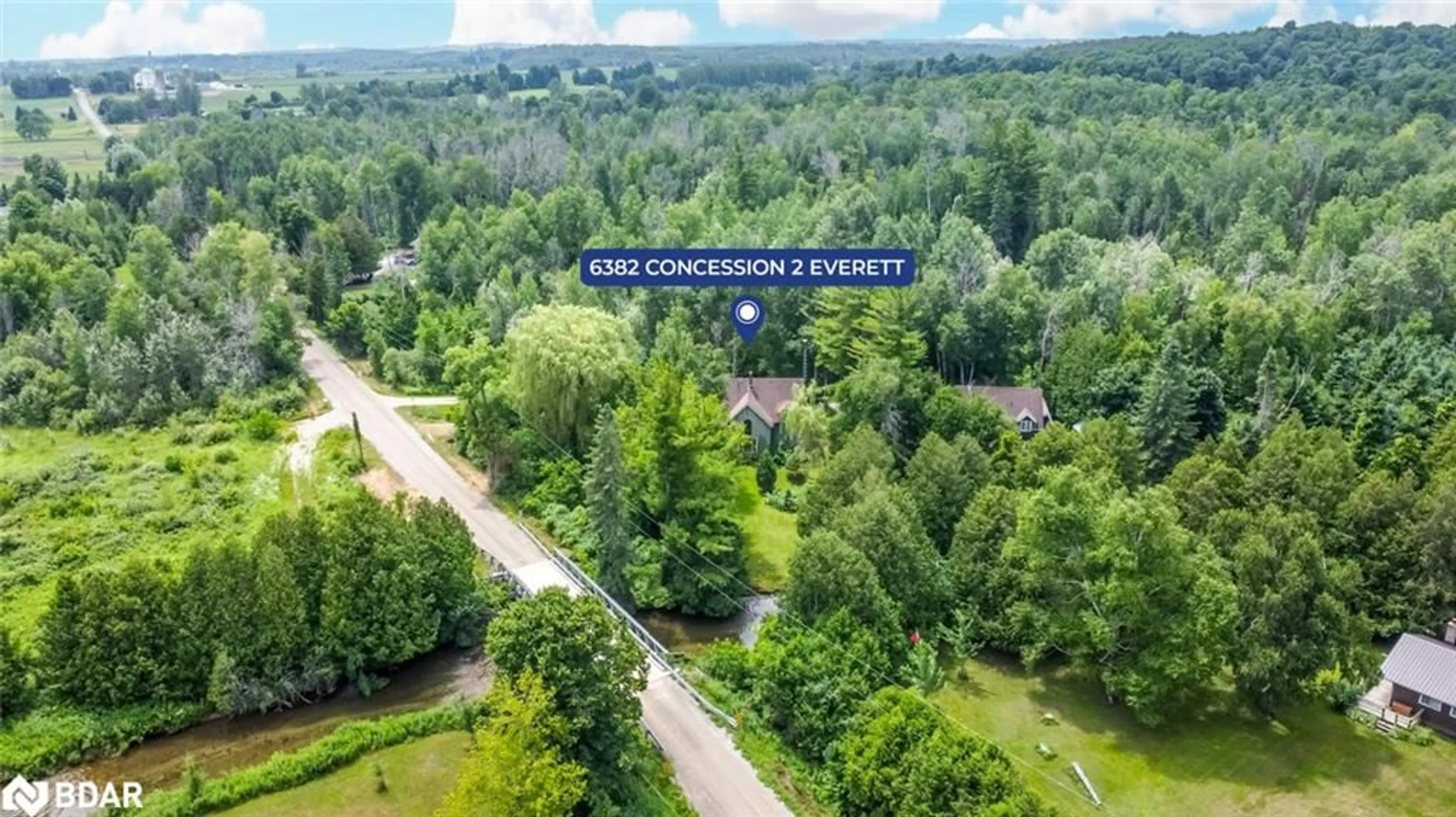 Forest view for 6382 Concession 2 Rd, Adjala-Tosorontio Ontario L0M 1J0