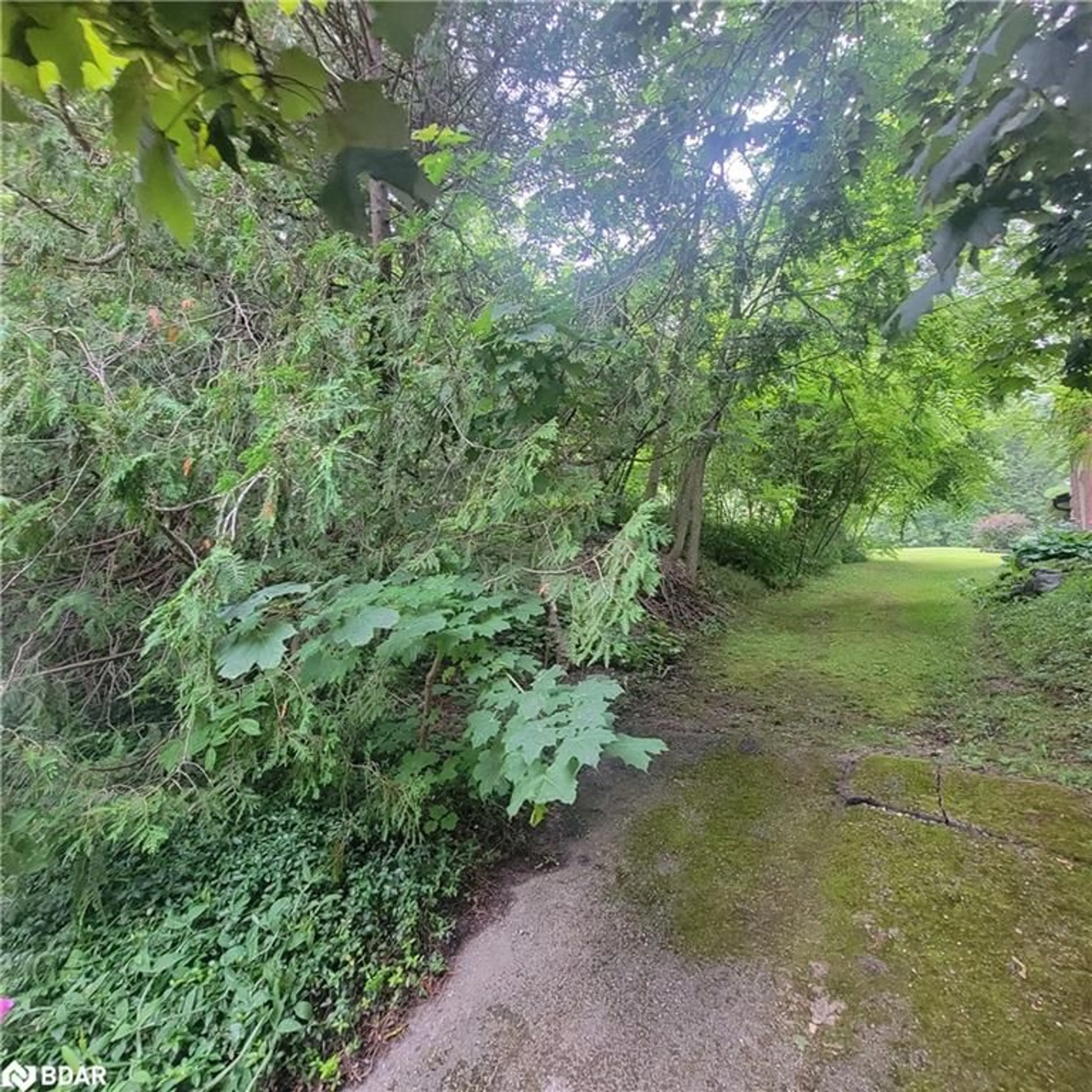 A pic from outside/outdoor area/front of a property/back of a property/a pic from drone, forest/trees view for 141 Mill St, Melancthon Ontario L9V 2T9