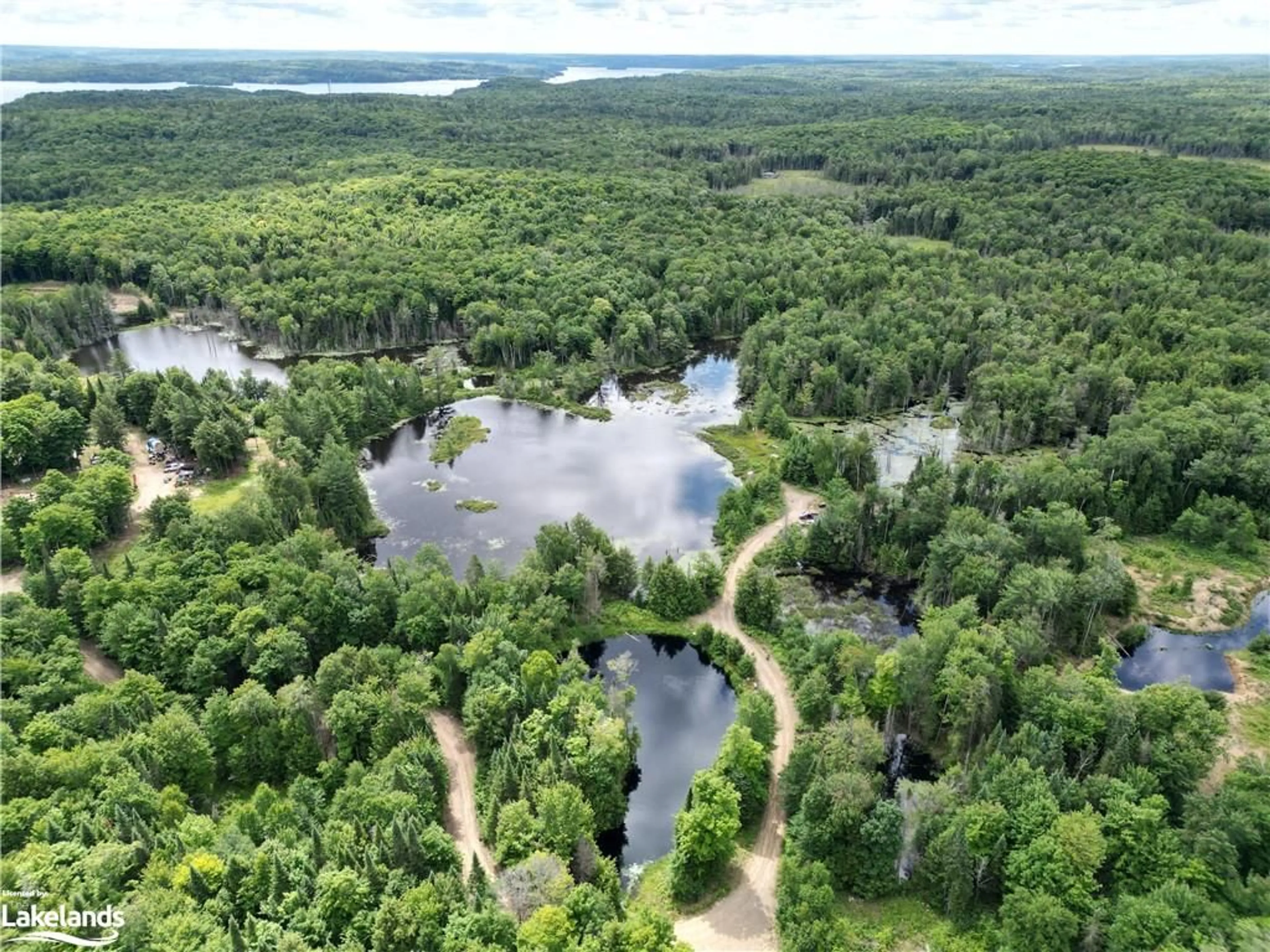 Forest view for LOT 31-32 Concession 10, Huntsville Ontario P1H 2J6