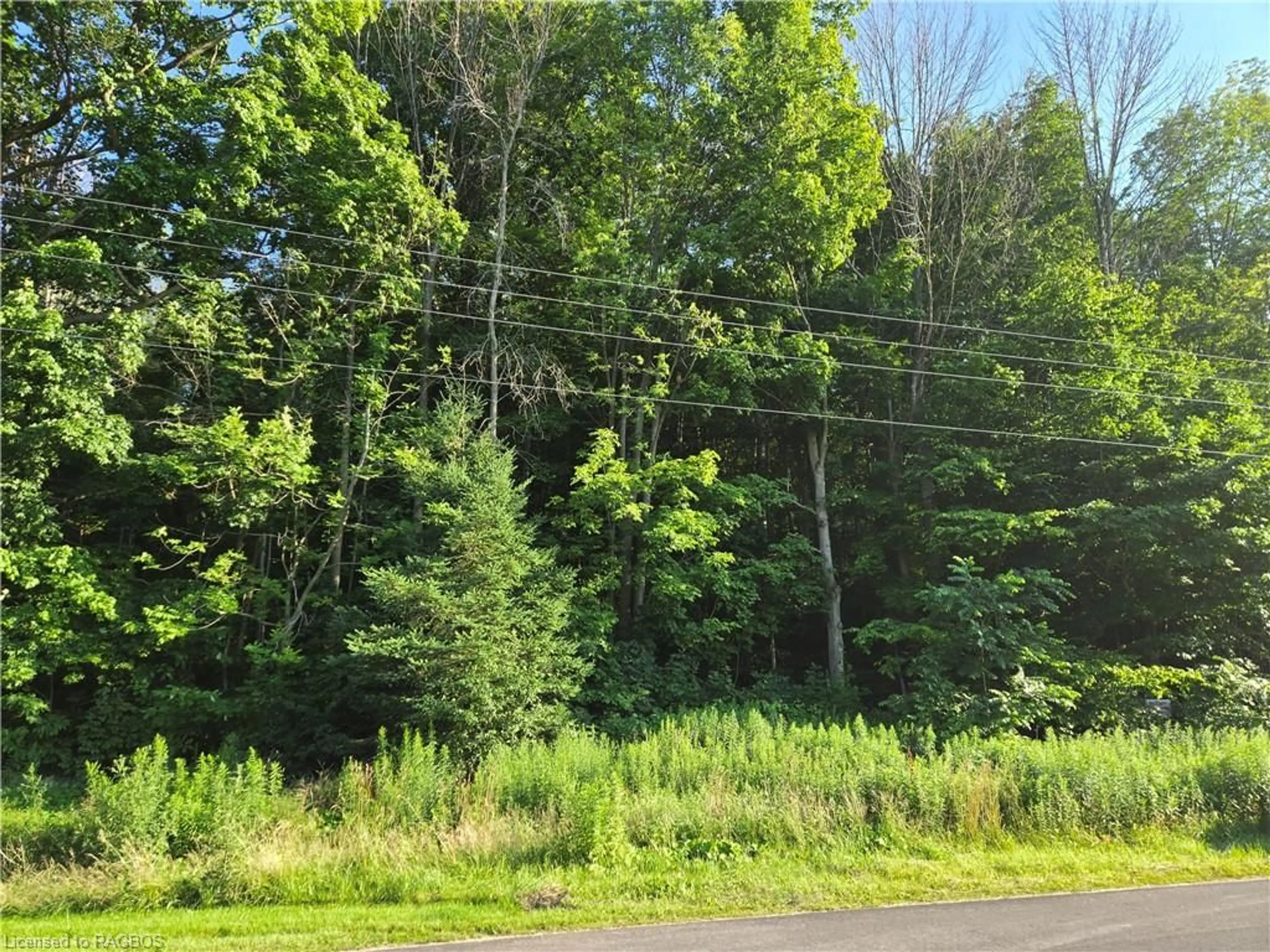 Shed for 130 Old Highway 26, Meaford Ontario N4L 1W7