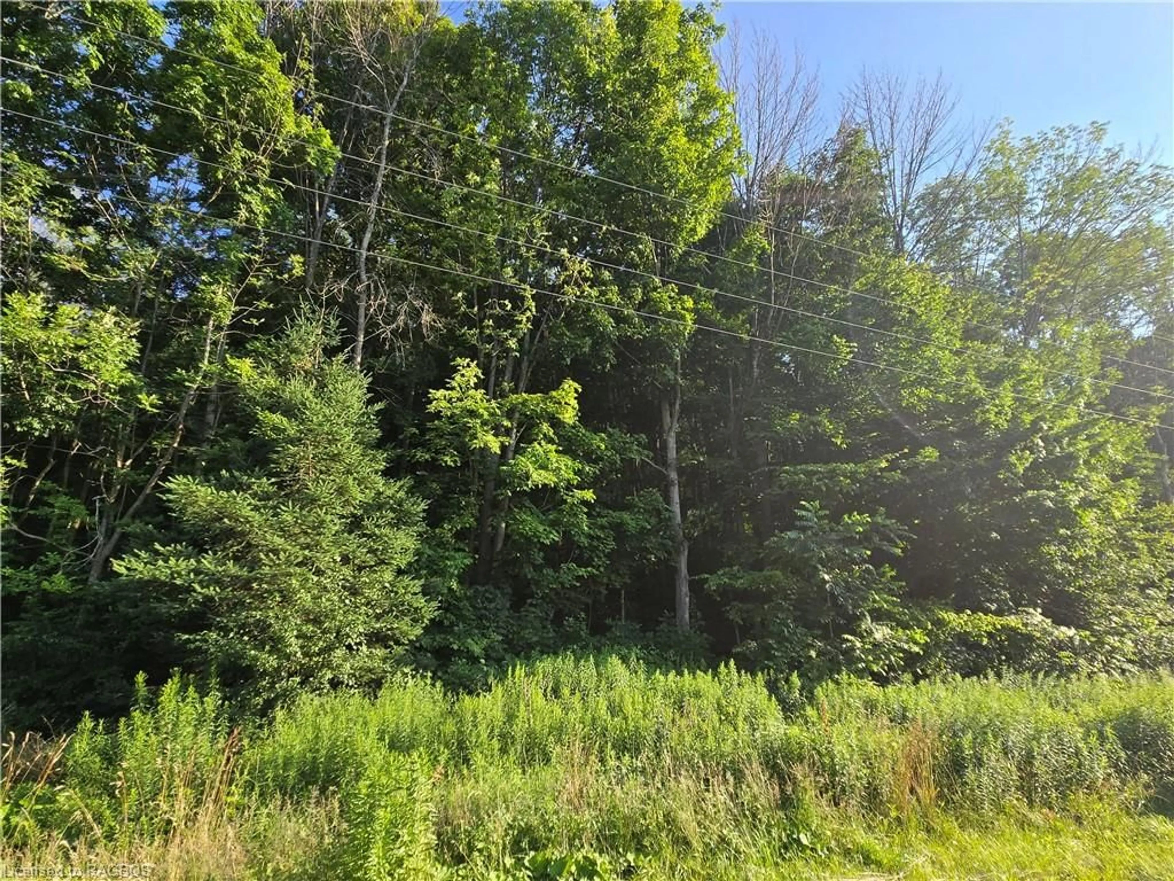 Shed for 130 Old Highway 26, Meaford Ontario N4L 1W7