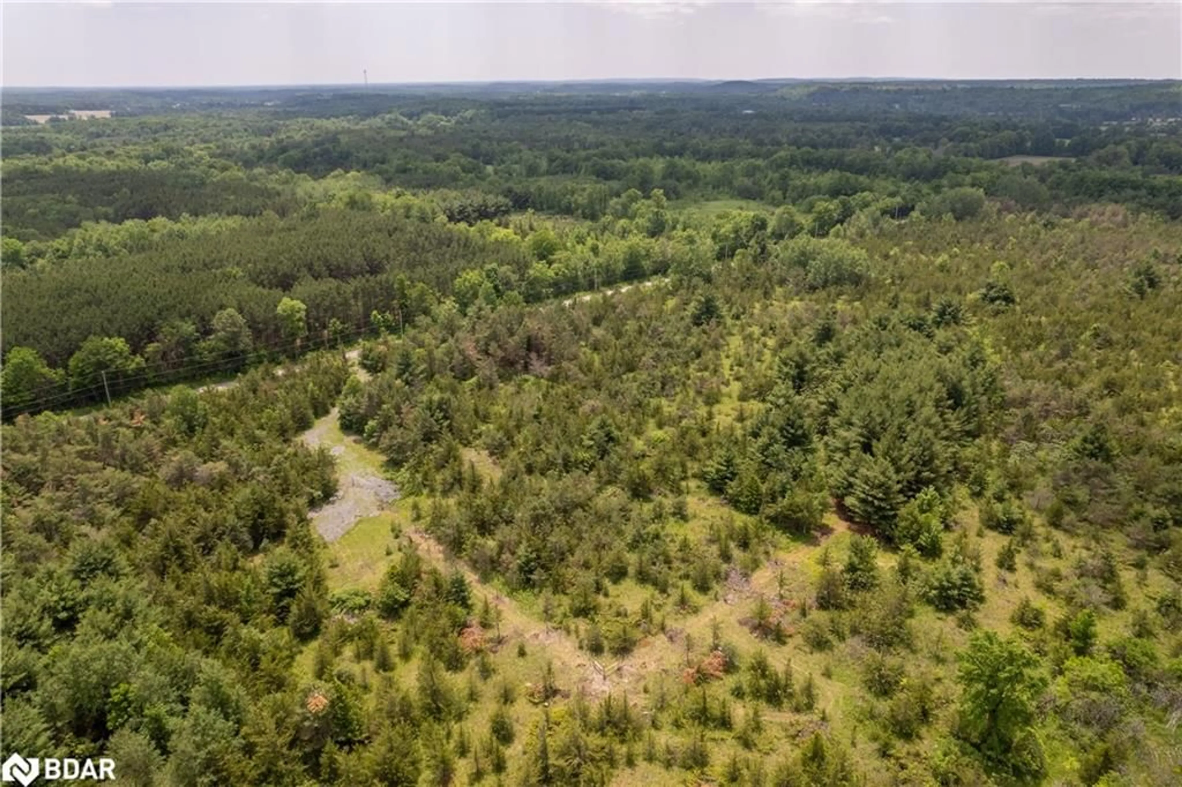 Forest view for 262 Johnston Rd, Thomasburg Ontario K0K 3H0