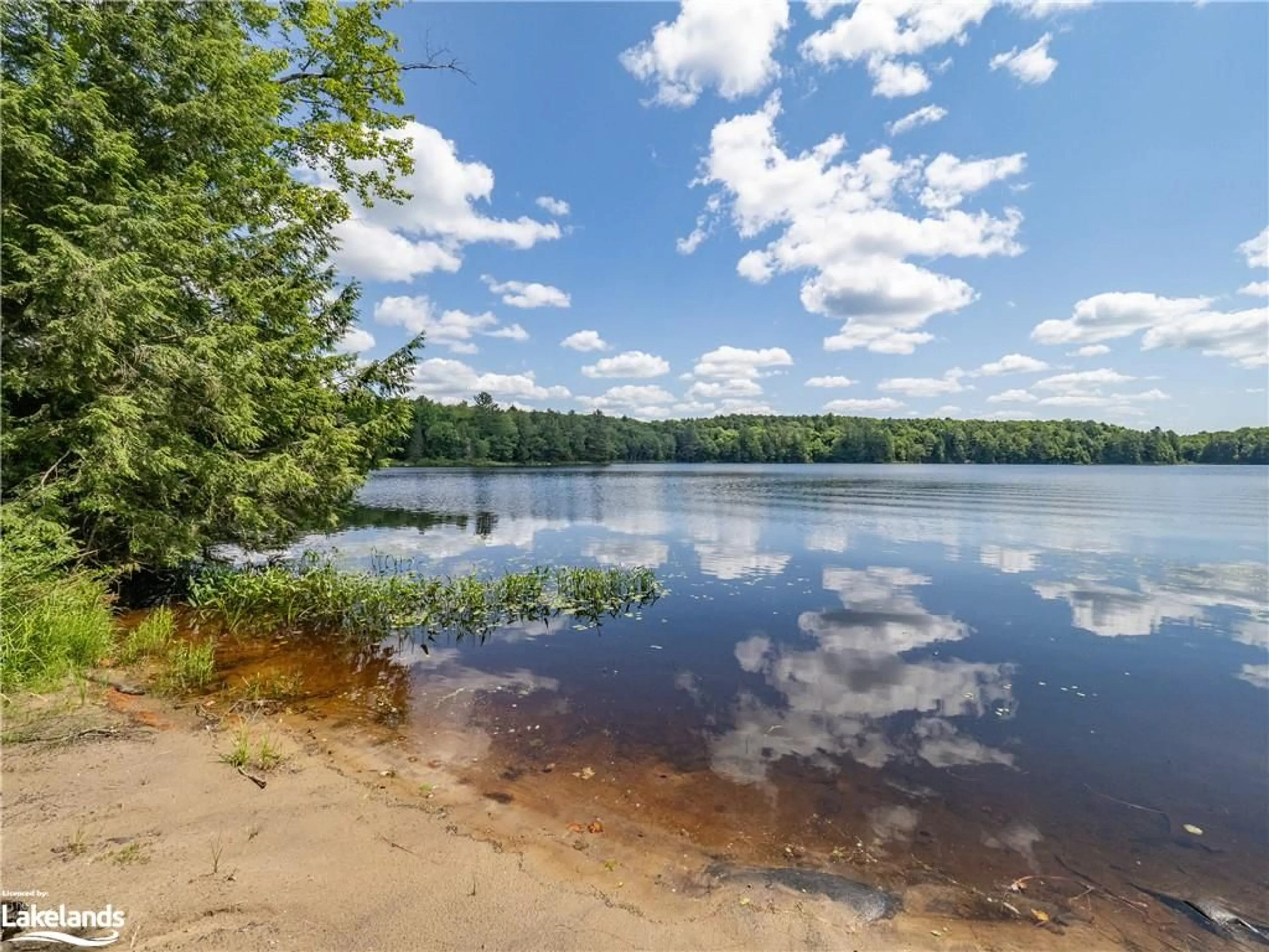 Lakeview for 1000 West Buck Lake Rd, Bracebridge Ontario P1L 1X1