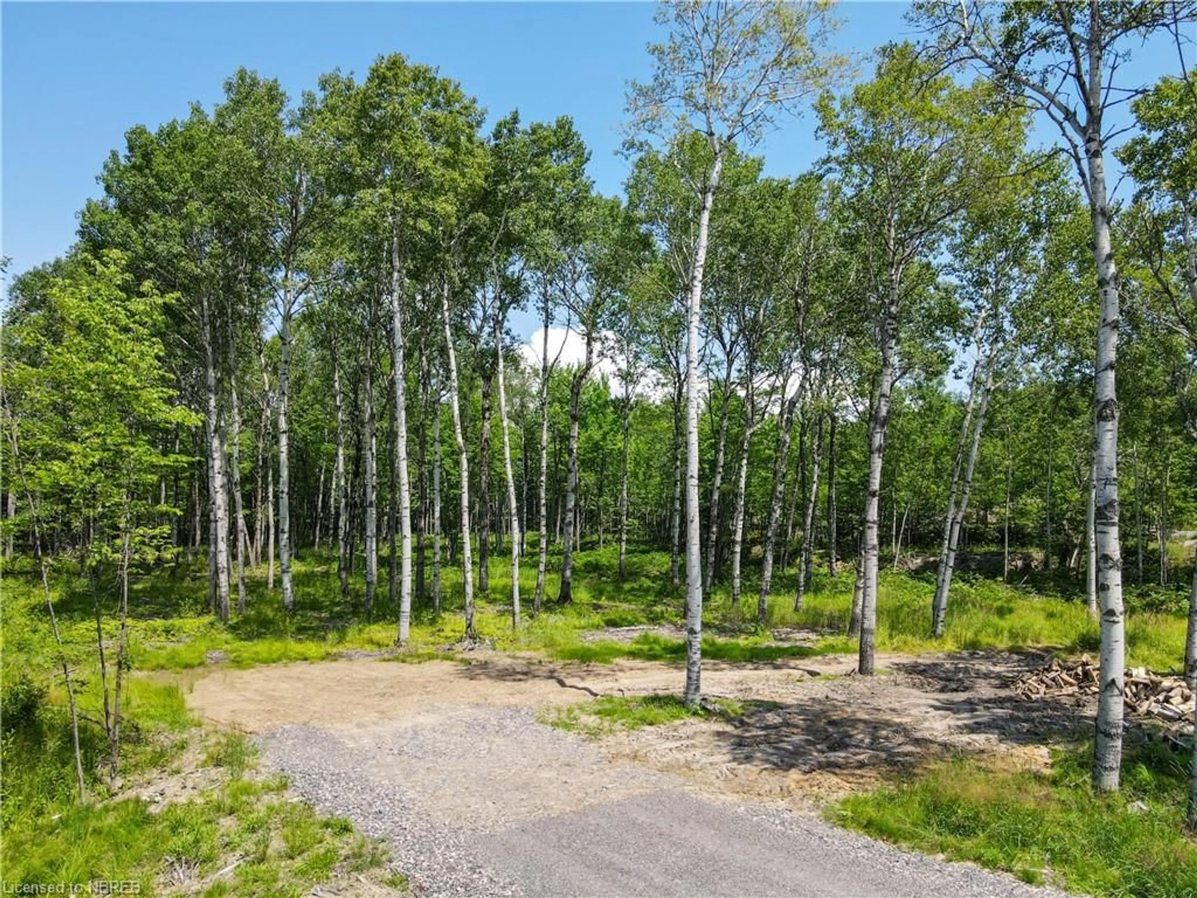 Forest view for 786 Birchgrove Dr, Callander Ontario P0H 1H0