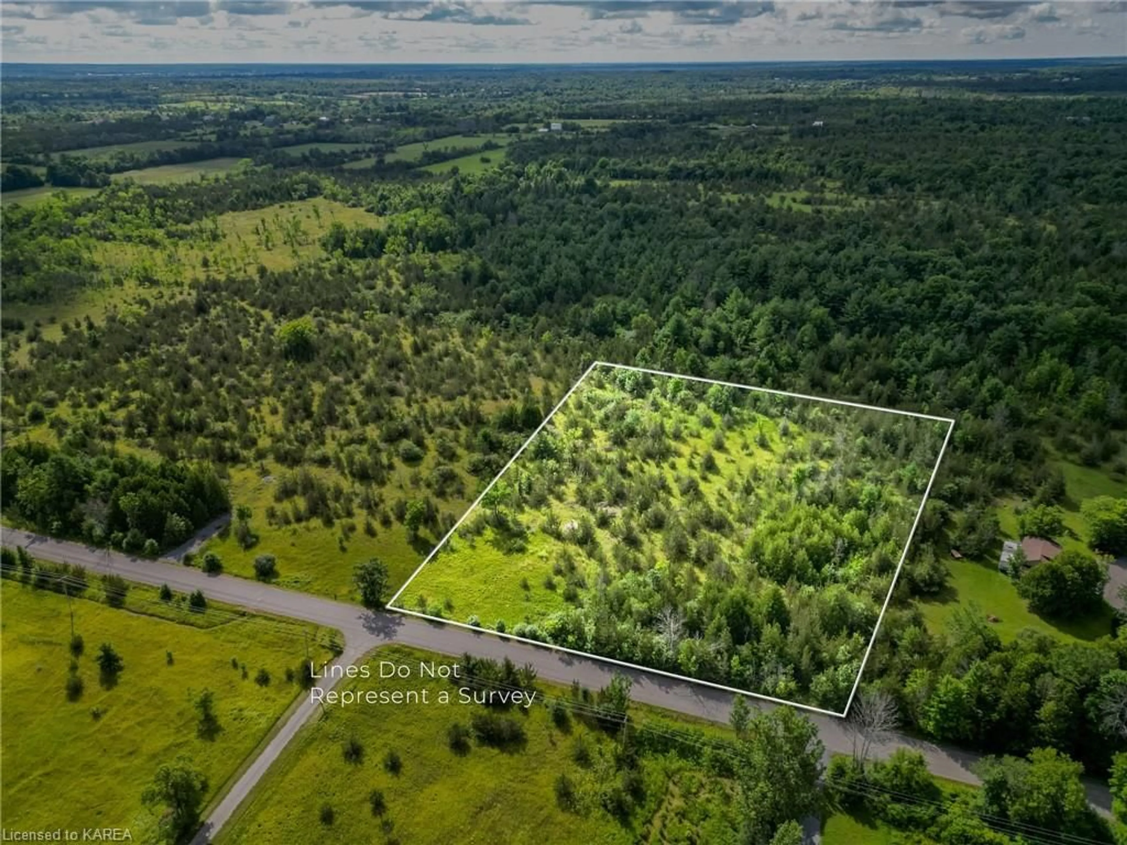Forest view for PART1 LOT 47 CO Colebrook Rd, Yarker Ontario K0K 3N0
