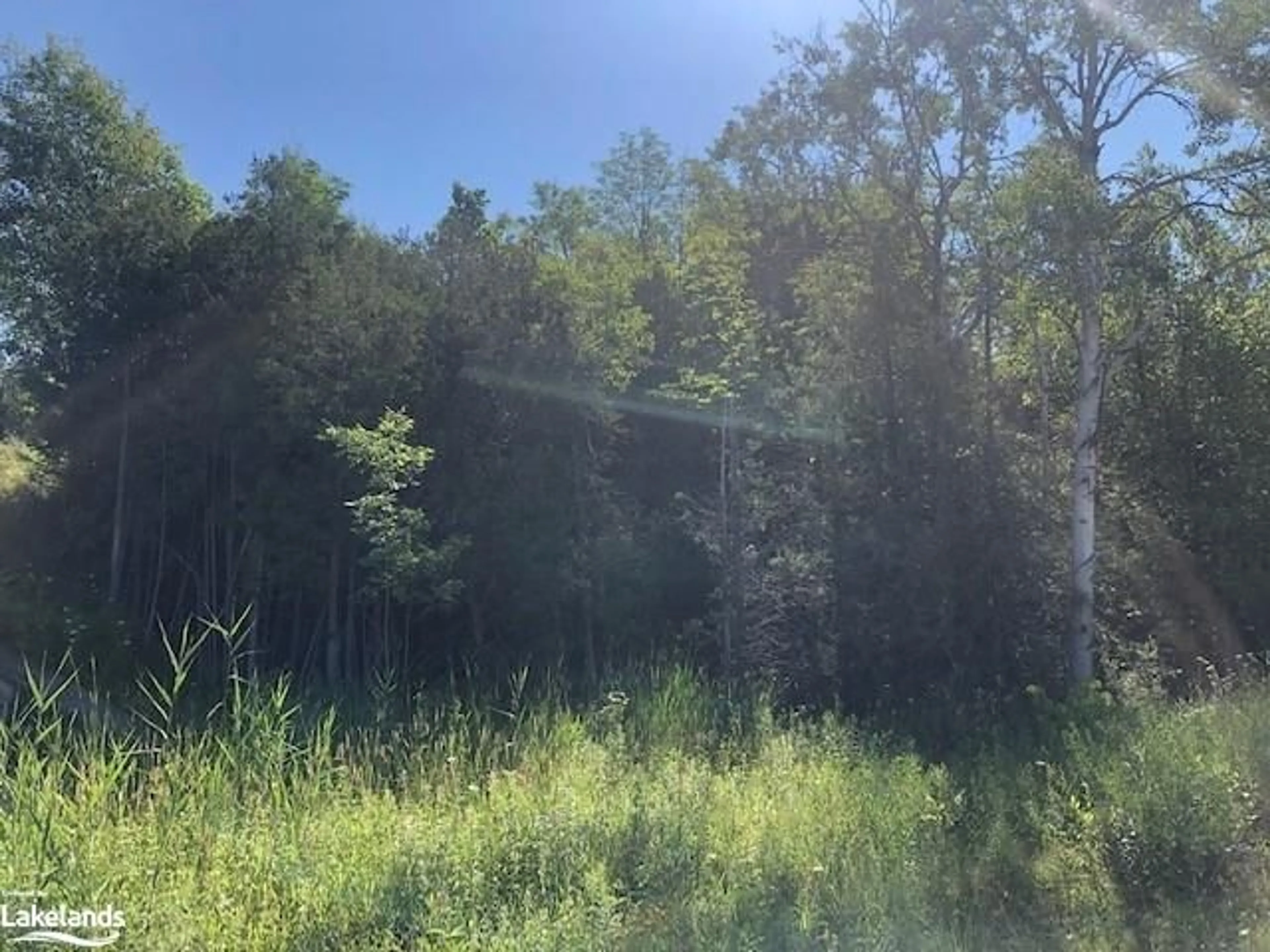 Forest view for PT LOT 15 Elder Lane, Chatsworth Ontario N0H 1G0