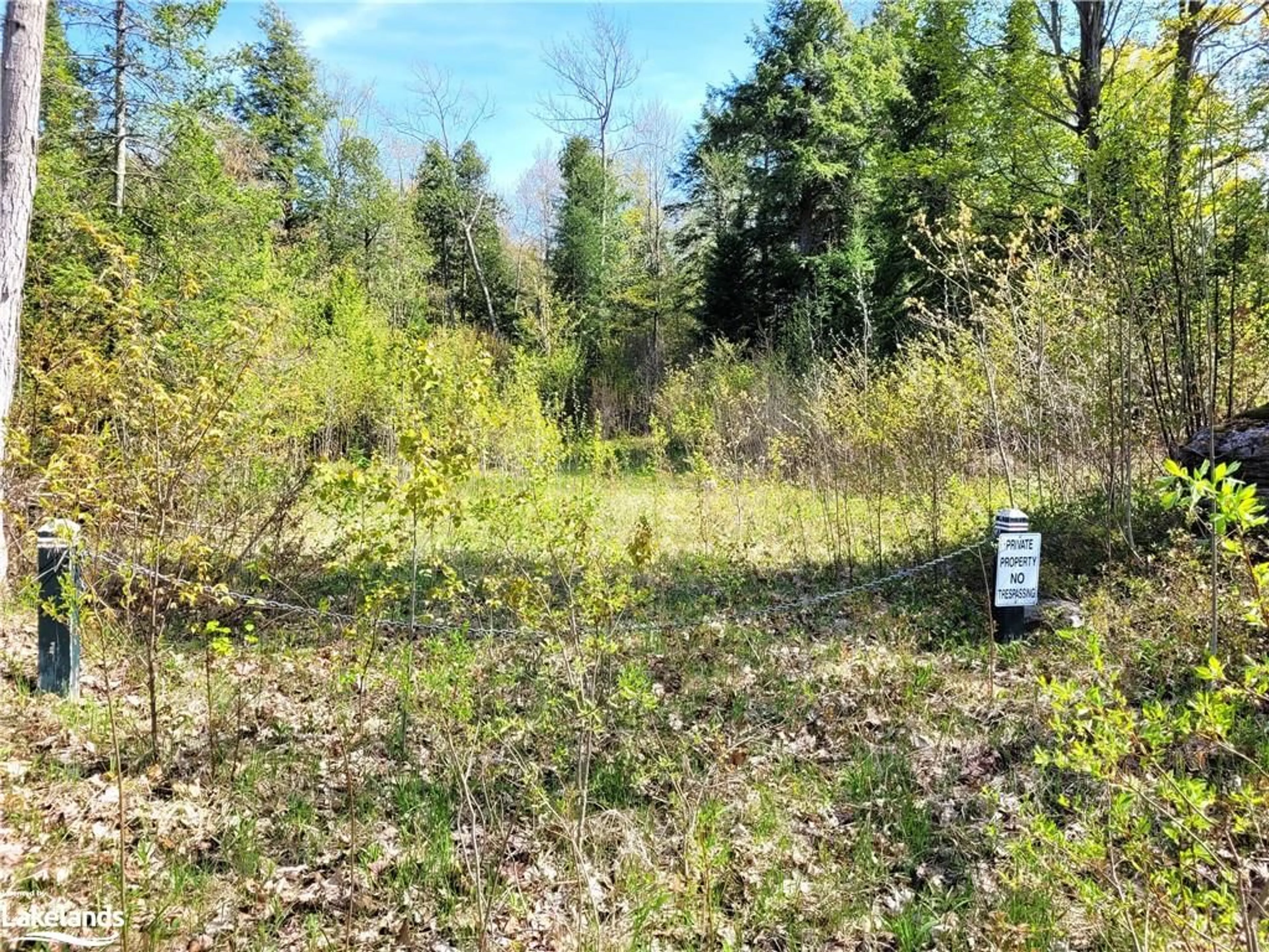 Forest view for 435 Champlain Rd, Tiny Ontario L9M 0C9