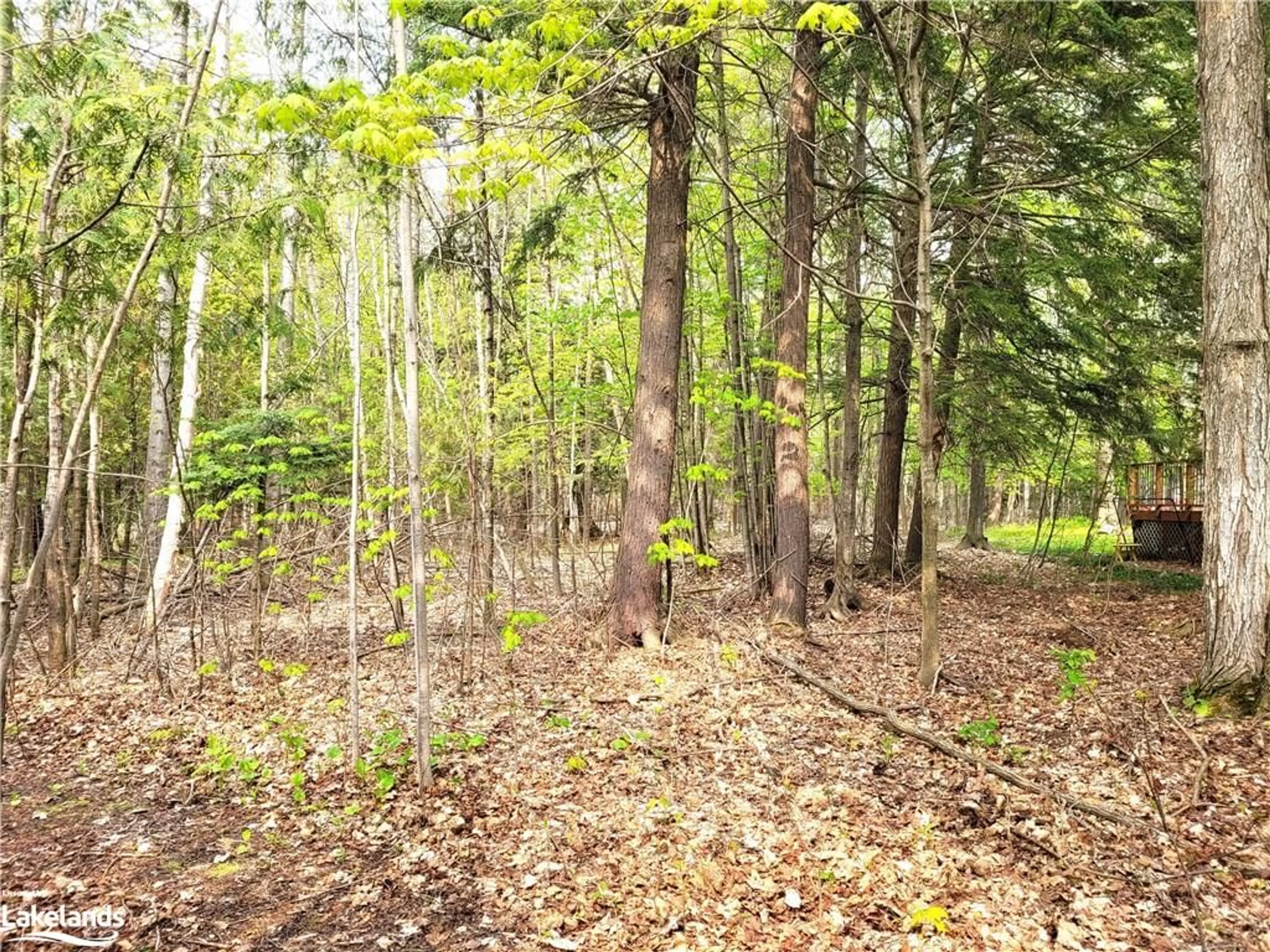 Forest view for 504 Seneca Cres, Tiny Ontario L9M 0C9