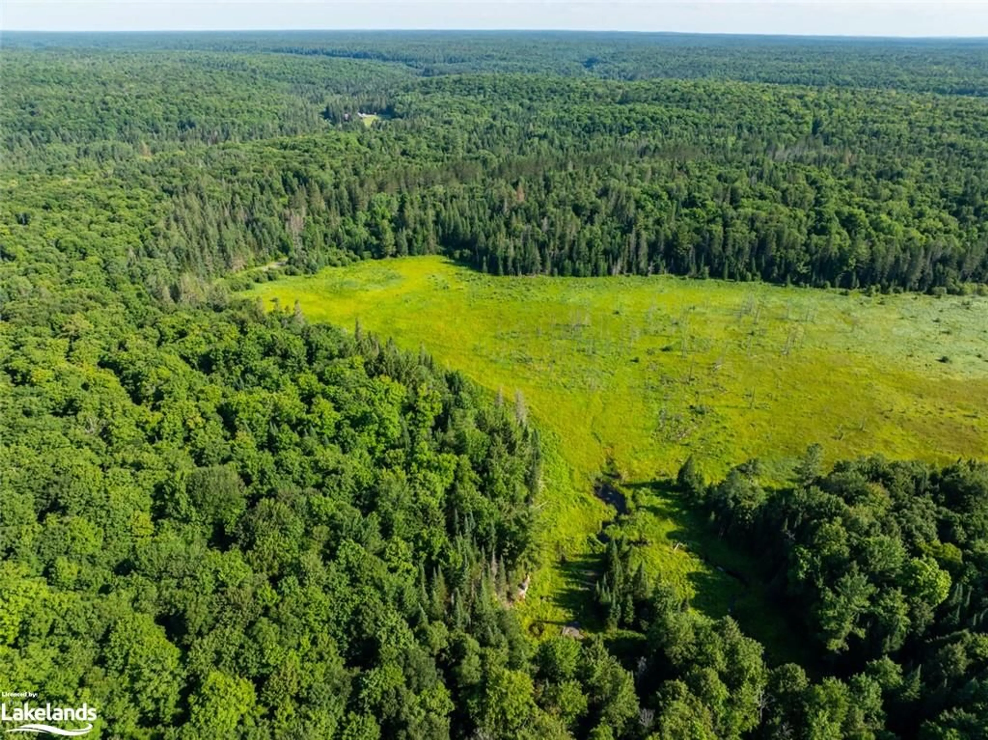 Forest view for 1650 Hekkla Rd, Utterson Ontario P0C 1J0