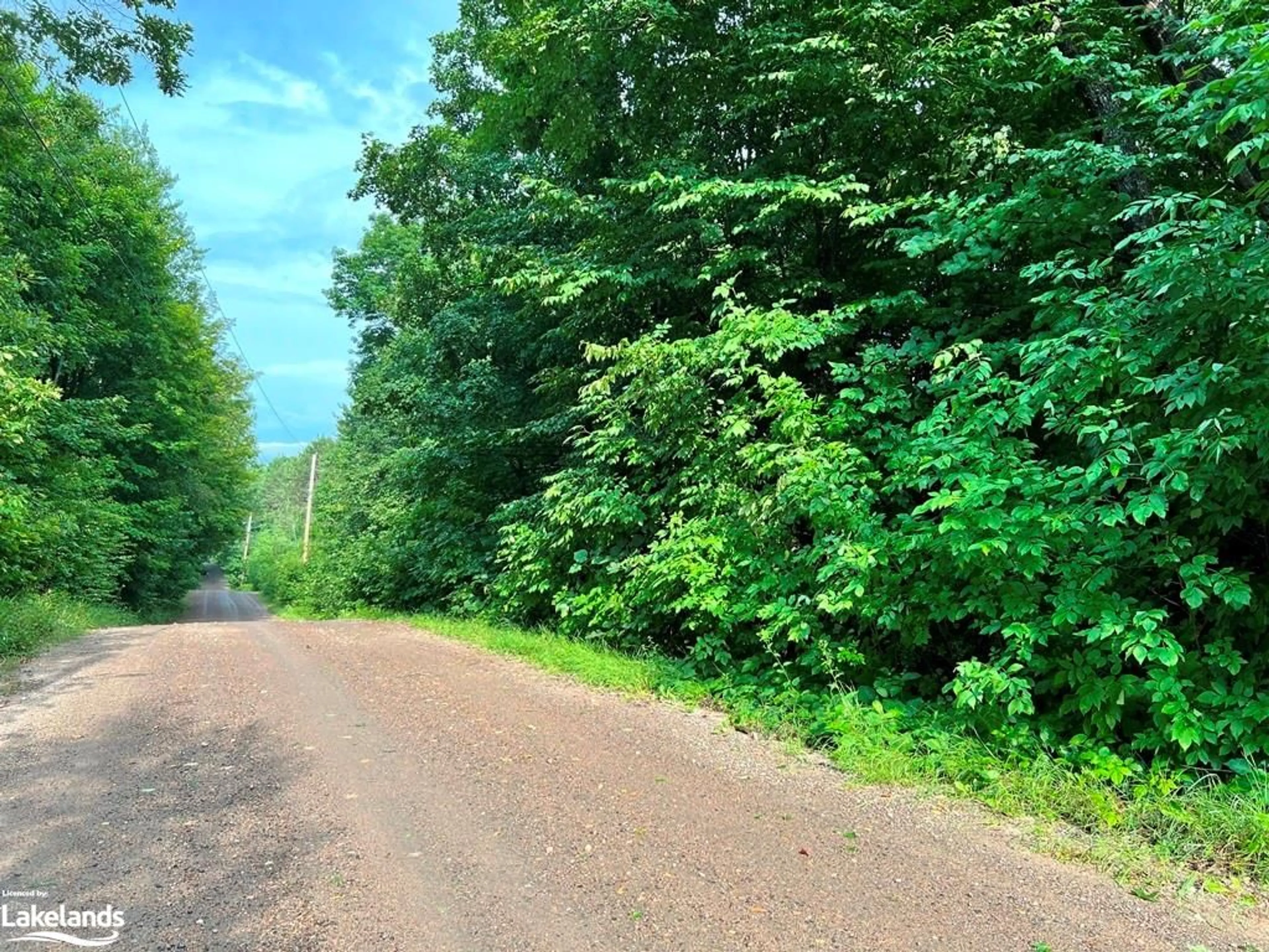 Street view for 1414 Madill Rd, Gooderham Ontario K0M 1R0