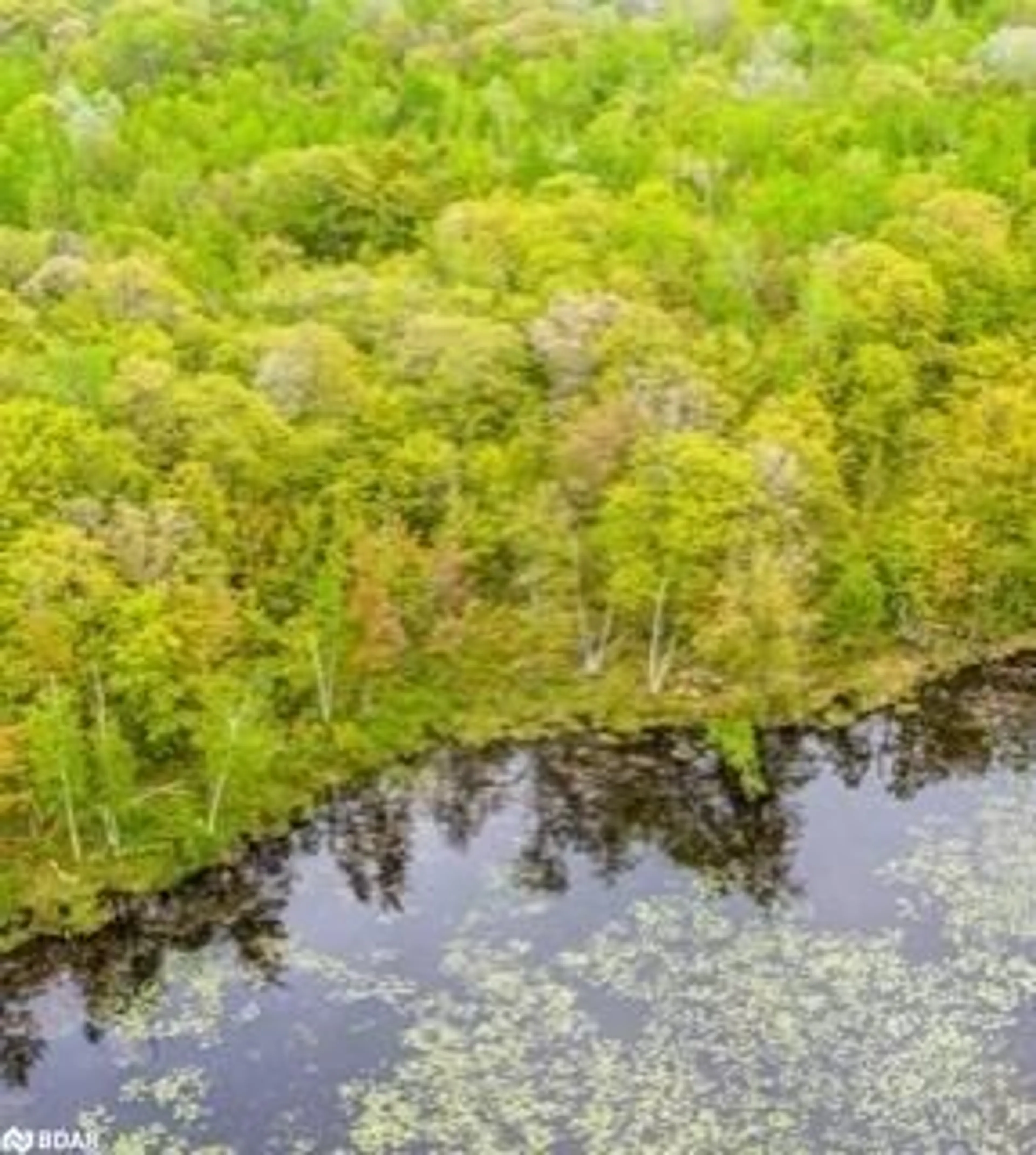 Forest view for 3600 Narrows Rd #Lot 12, Port Severn Ontario L0K 1E0