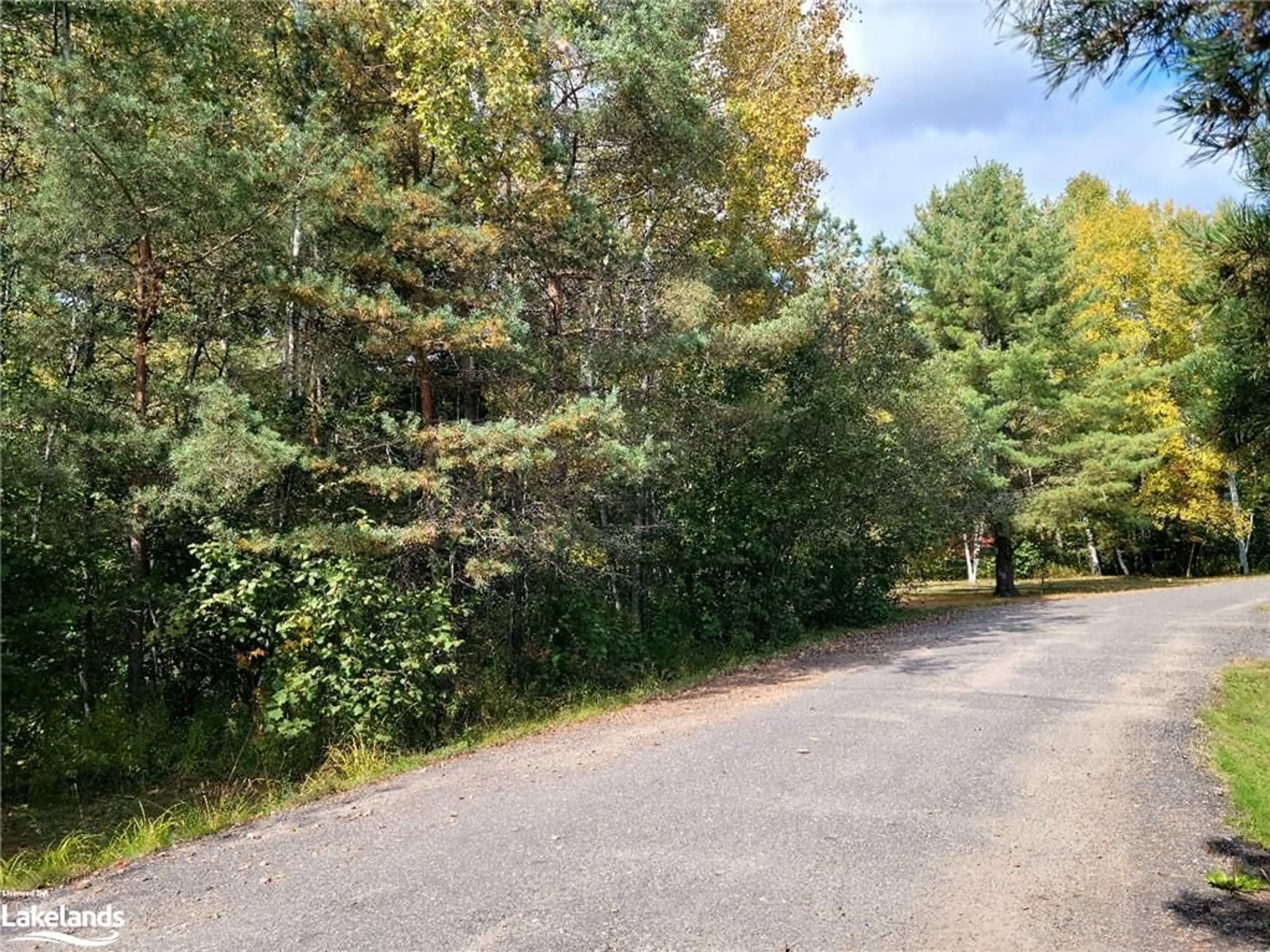 Forest view for 4 Fox Run Lane #32, Huntsville Ontario P1H 1E3