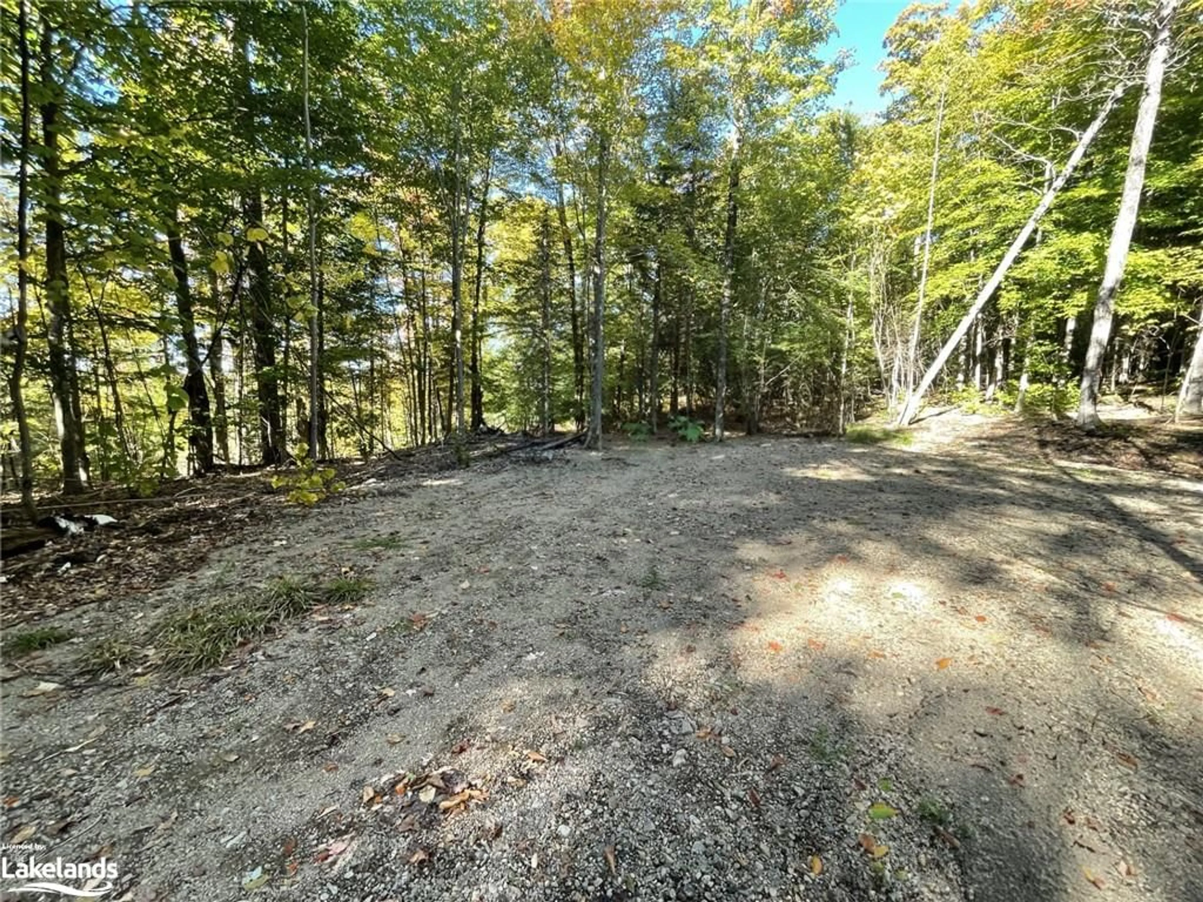 Forest view for PAST 3558 County Rd 8, Dorset Ontario P0A 1E0