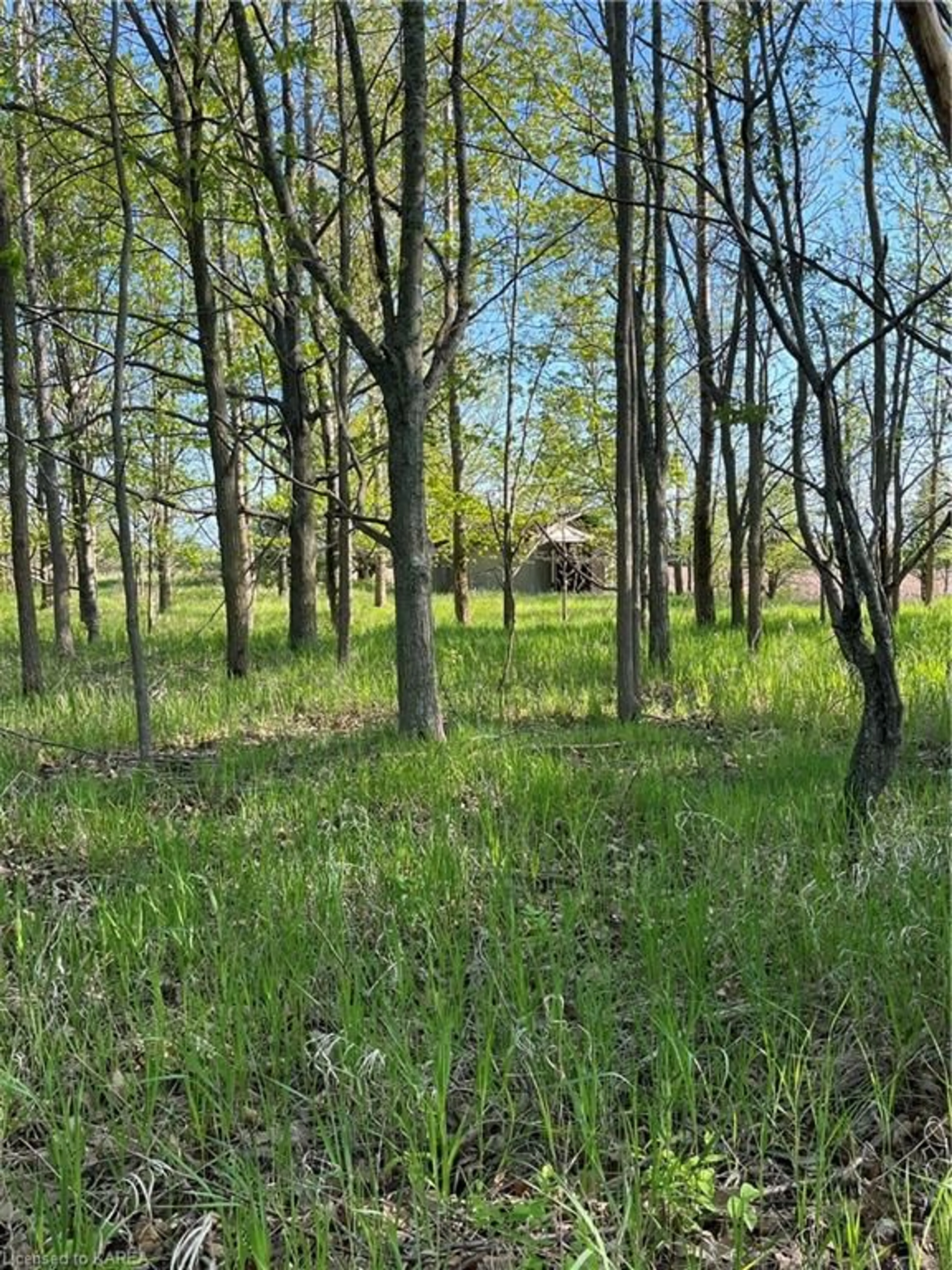 Shed for PT LT 5 Reeds Bay Rd, Wolfe Island Ontario K0H 2Y0