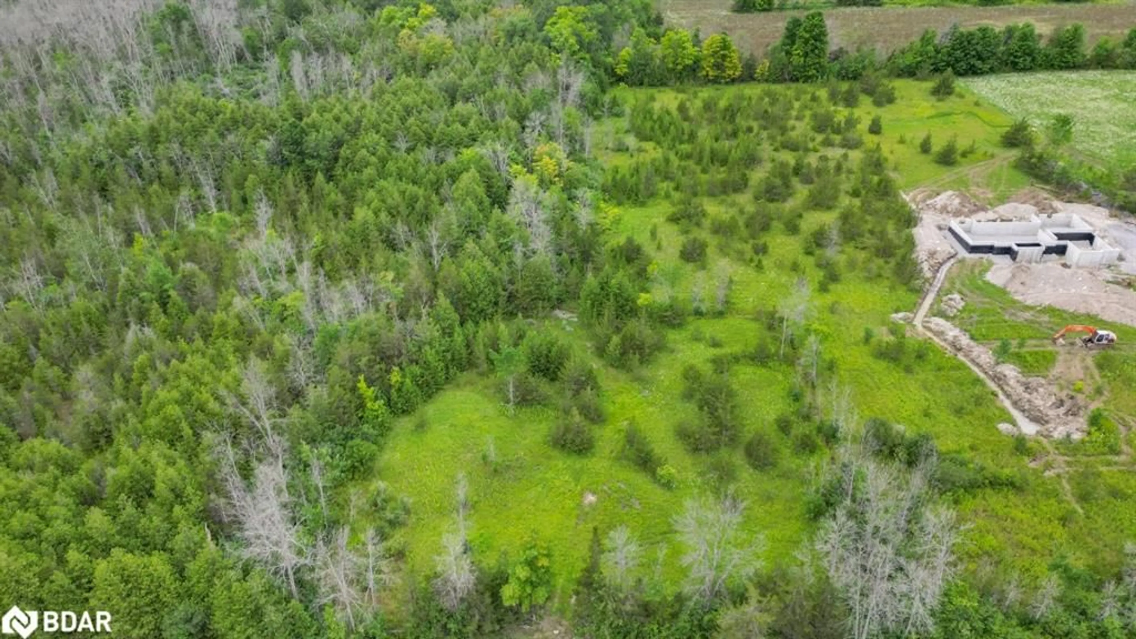 Forest view for 0 Weese Rd, Tyendinaga Ontario K0K 3A0