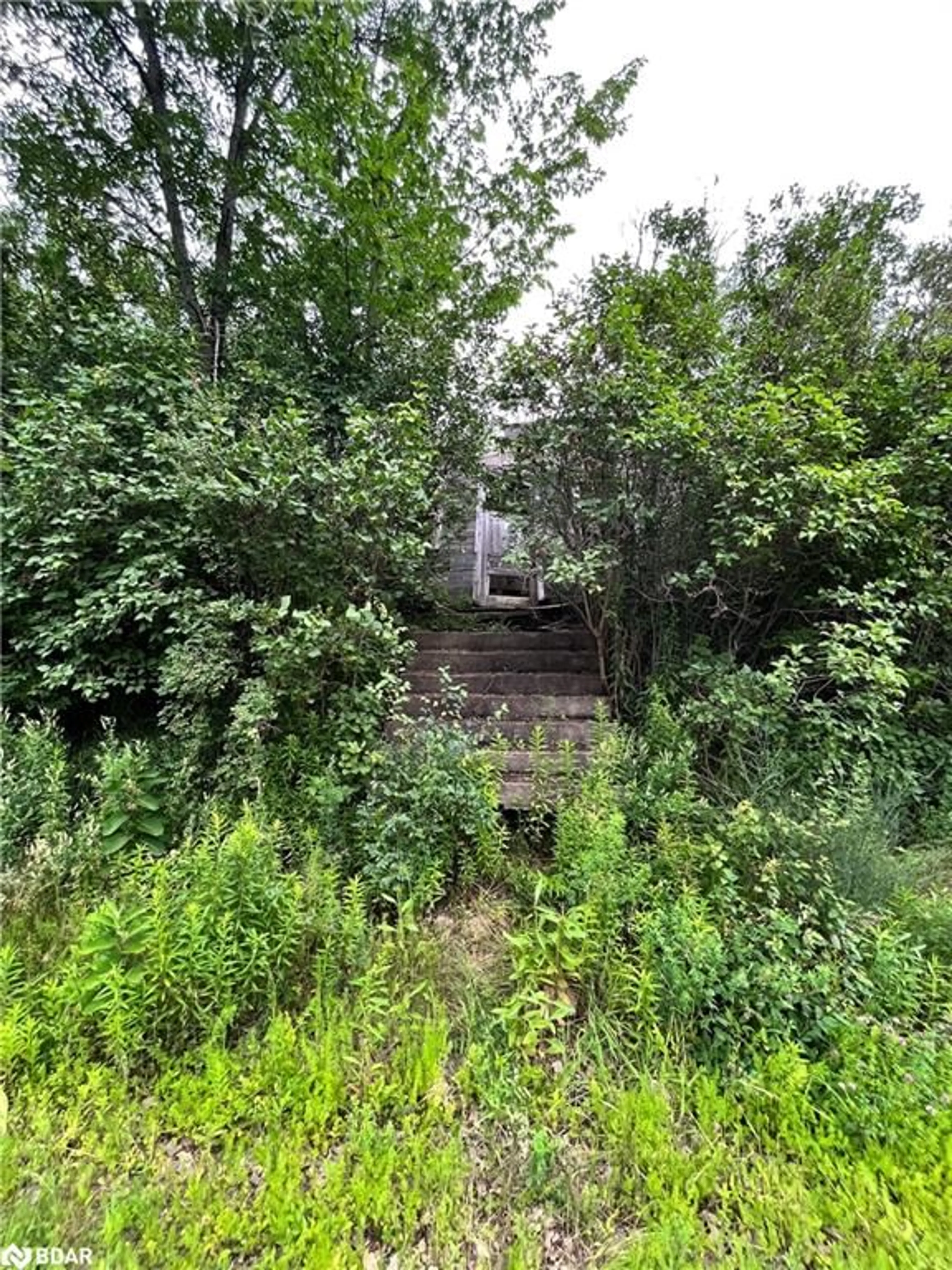 Shed for 1675 Sulphide Rd, Tweed Ontario K0K 3J0