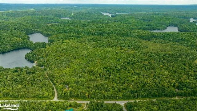 1020 Long Line Lake Rd, Baysville 2
