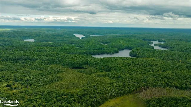1020 Long Line Lake Rd, Baysville 4