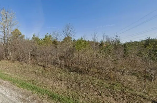 Additional property image - LOT 27 - 1540 Safari Rd