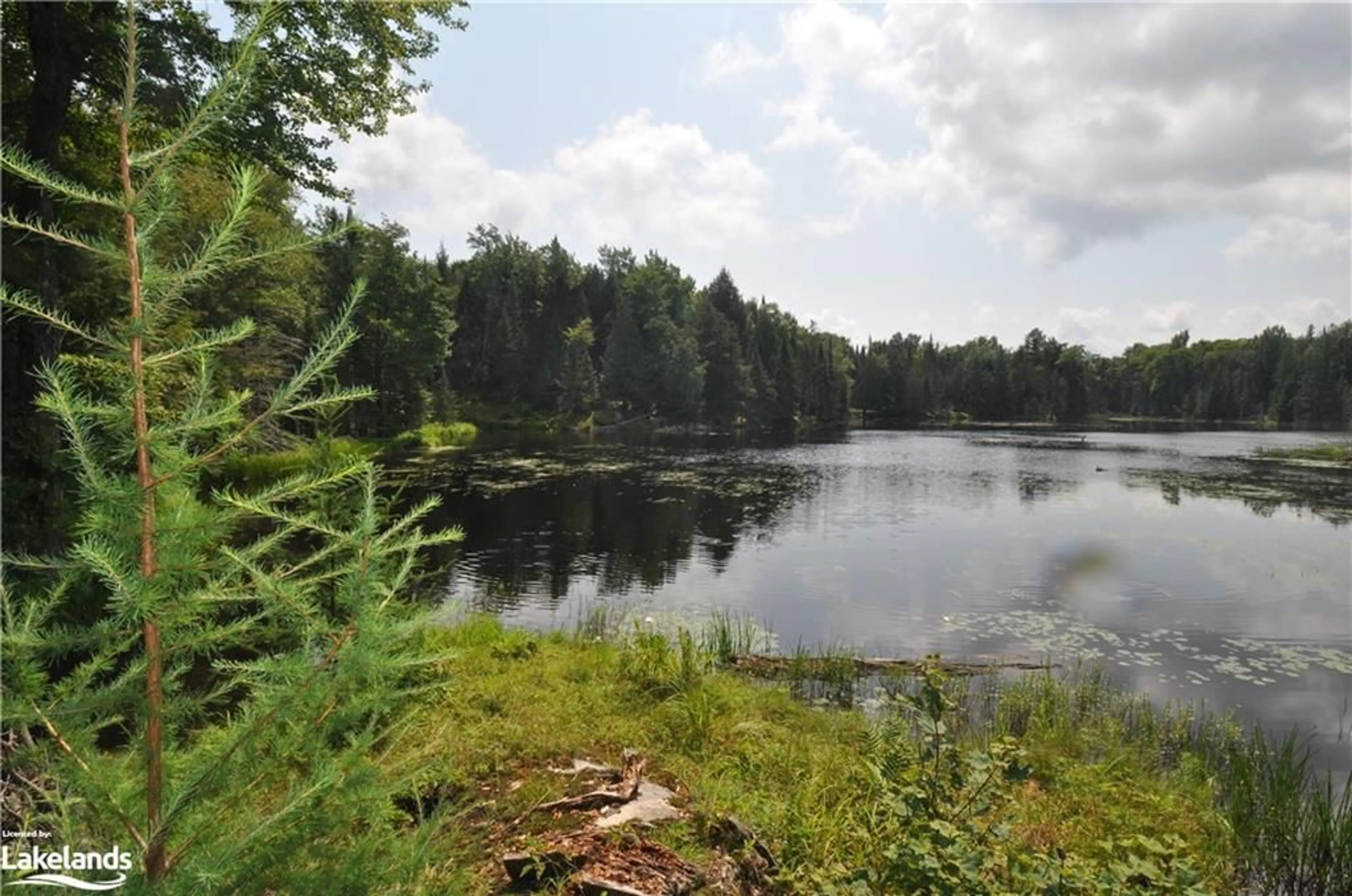 Lakeview for 1370 Limberlost Rd, Huntsville Ontario P1H 2J6