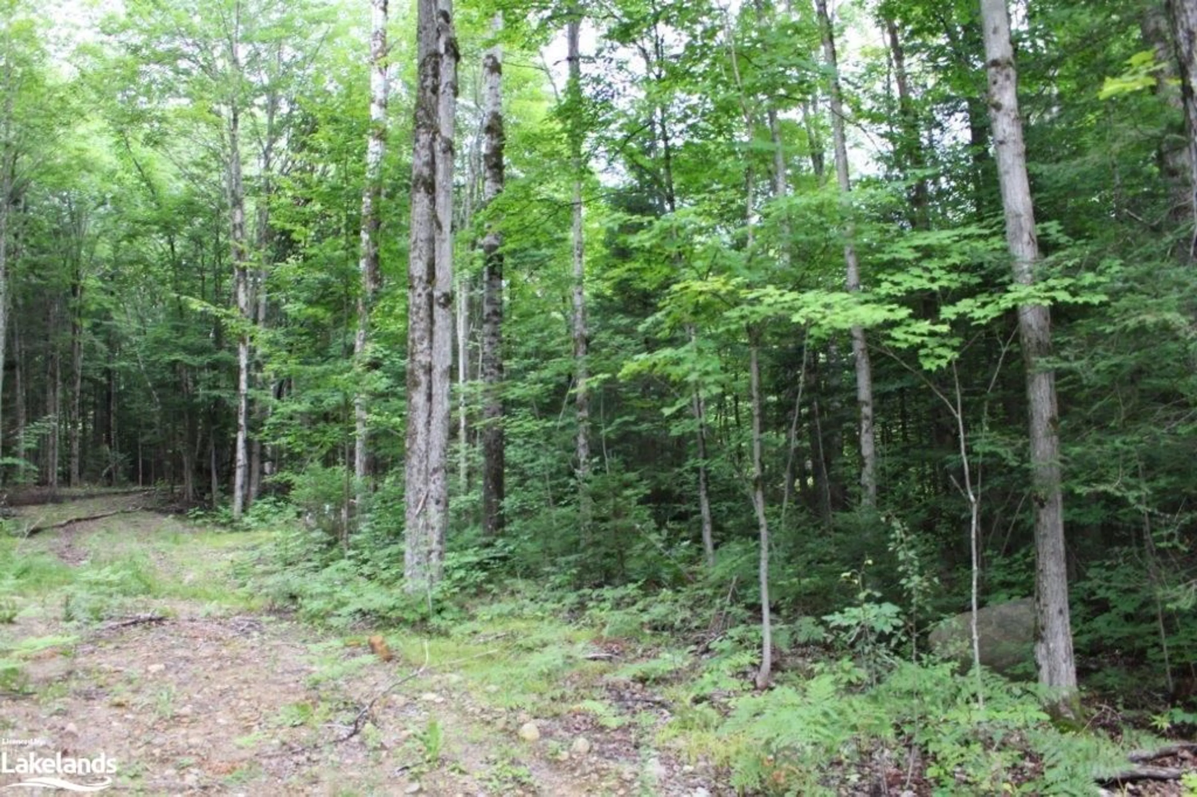 Forest view for 0 Gelert Rd, Minden Ontario K0M 2K0