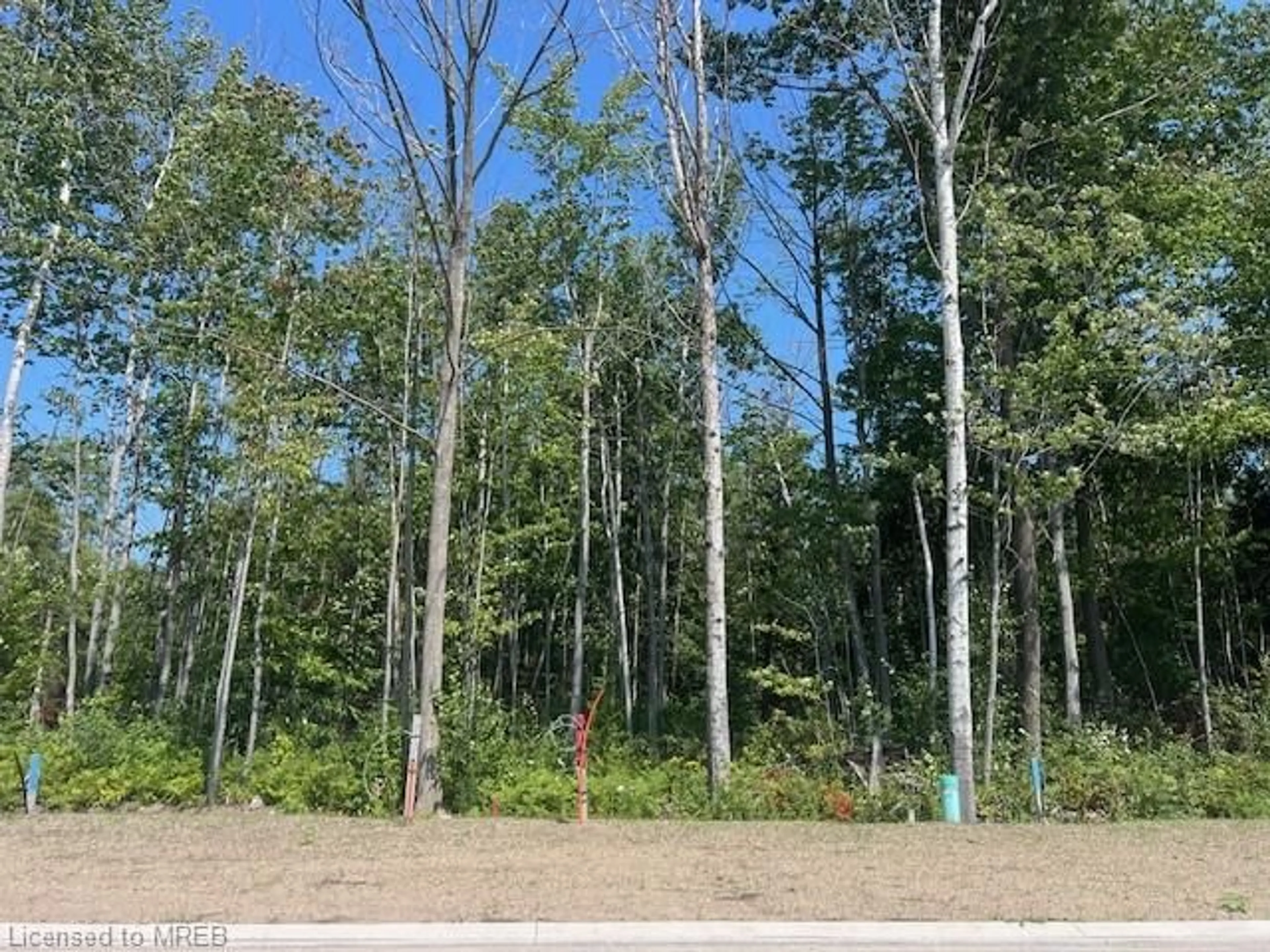 Forest view for LOT 77 Mapleside Dr, Wasaga Beach Ontario L9Z 0L4