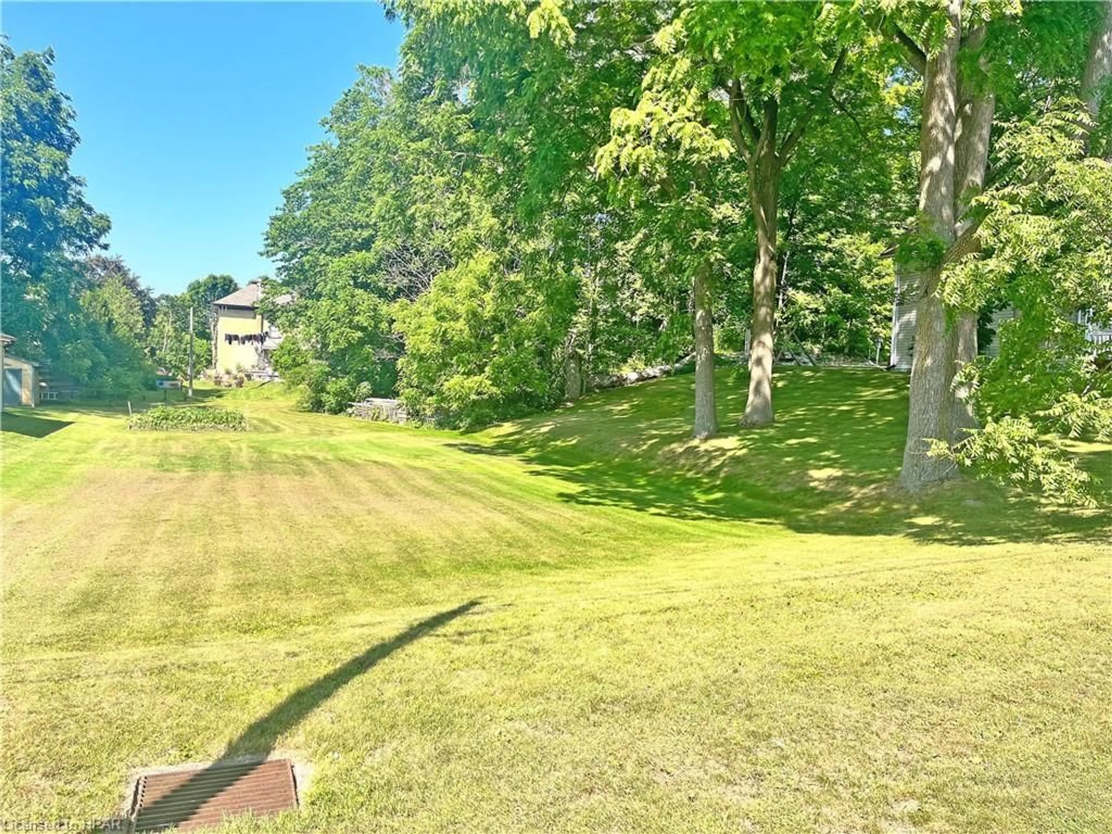 Fenced yard for LT 14 King St, Blyth Ontario N0M 1H0