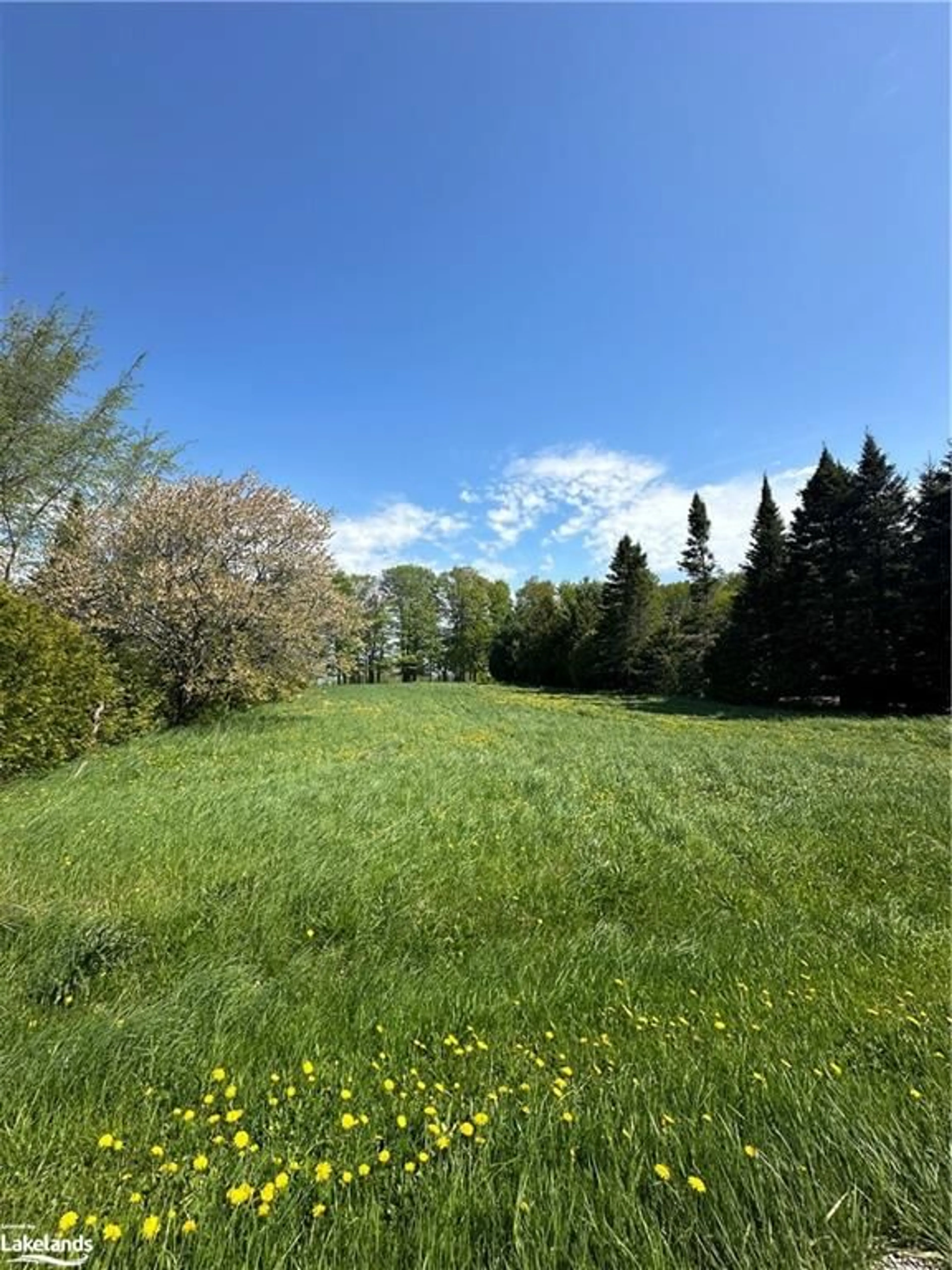 Fenced yard for 125 Graham's Hill Rd, Georgian Bluffs Ontario N0H 2T0