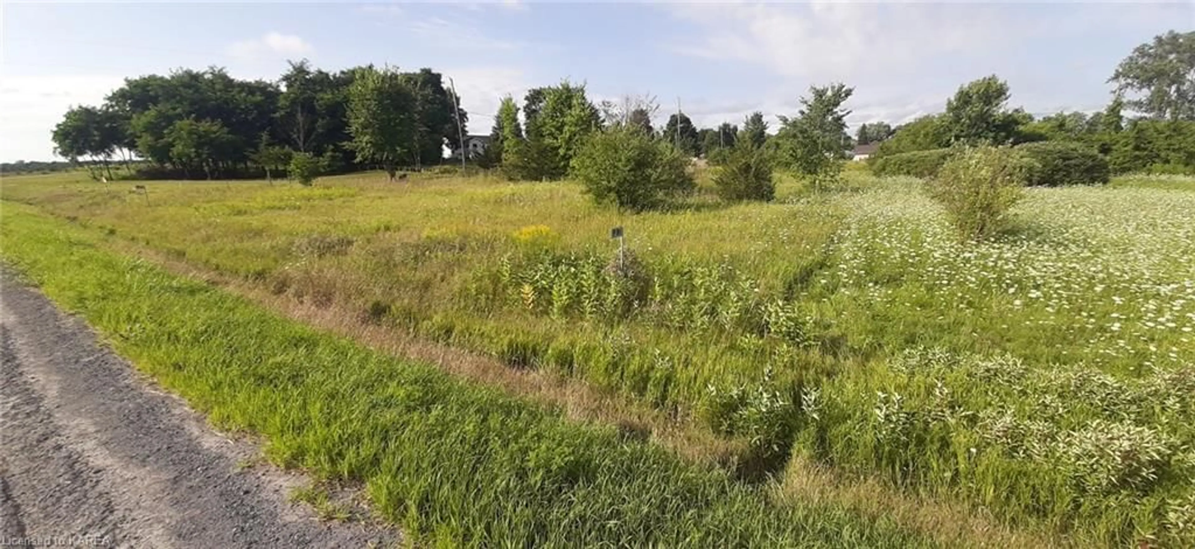 Street view for PT LT 21 S Shore Rd, Greater Napanee Ontario K7R 3K7