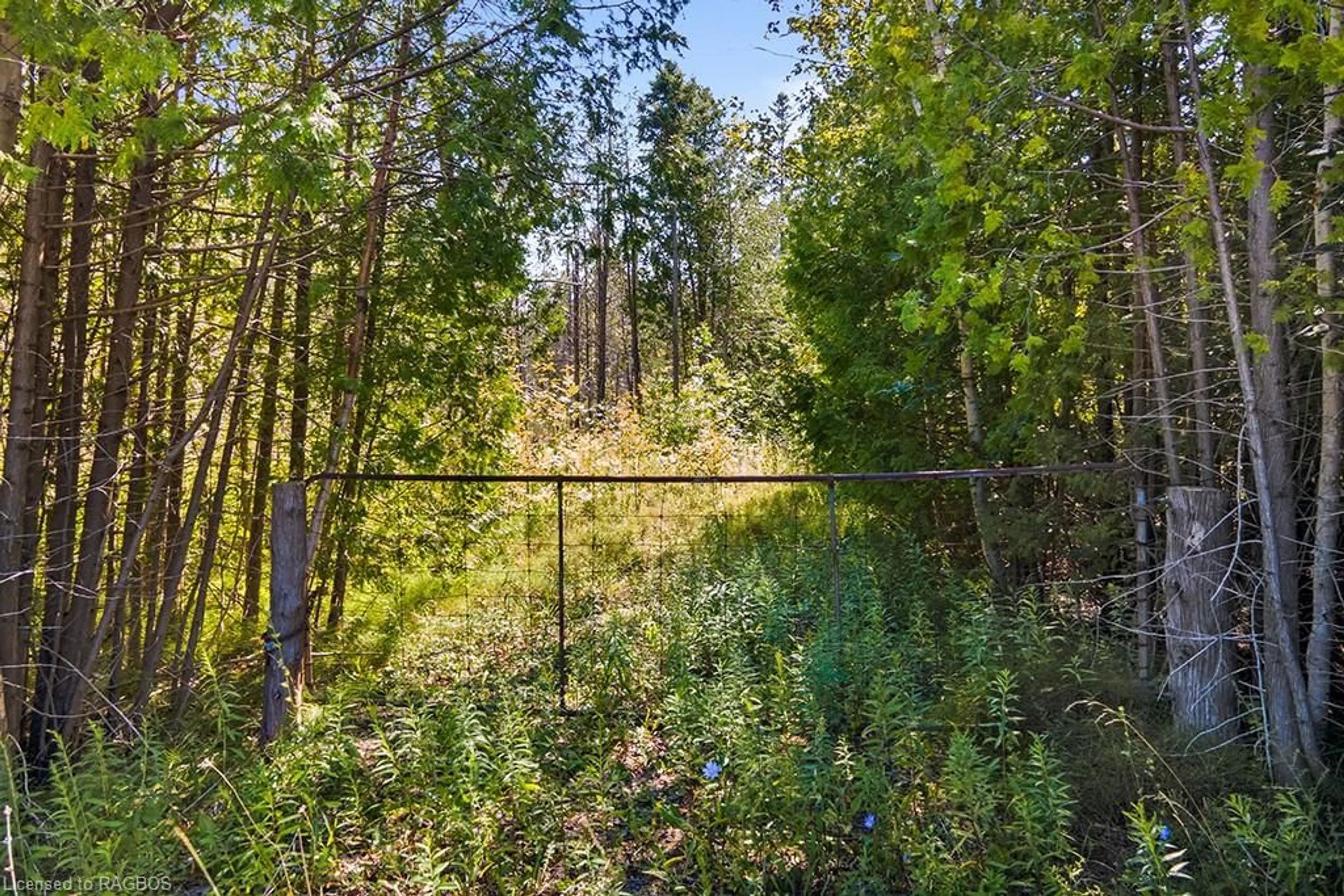 Patio, the fenced backyard for PT LT 46 Highway 6, Tobermory Ontario N0H 2R0