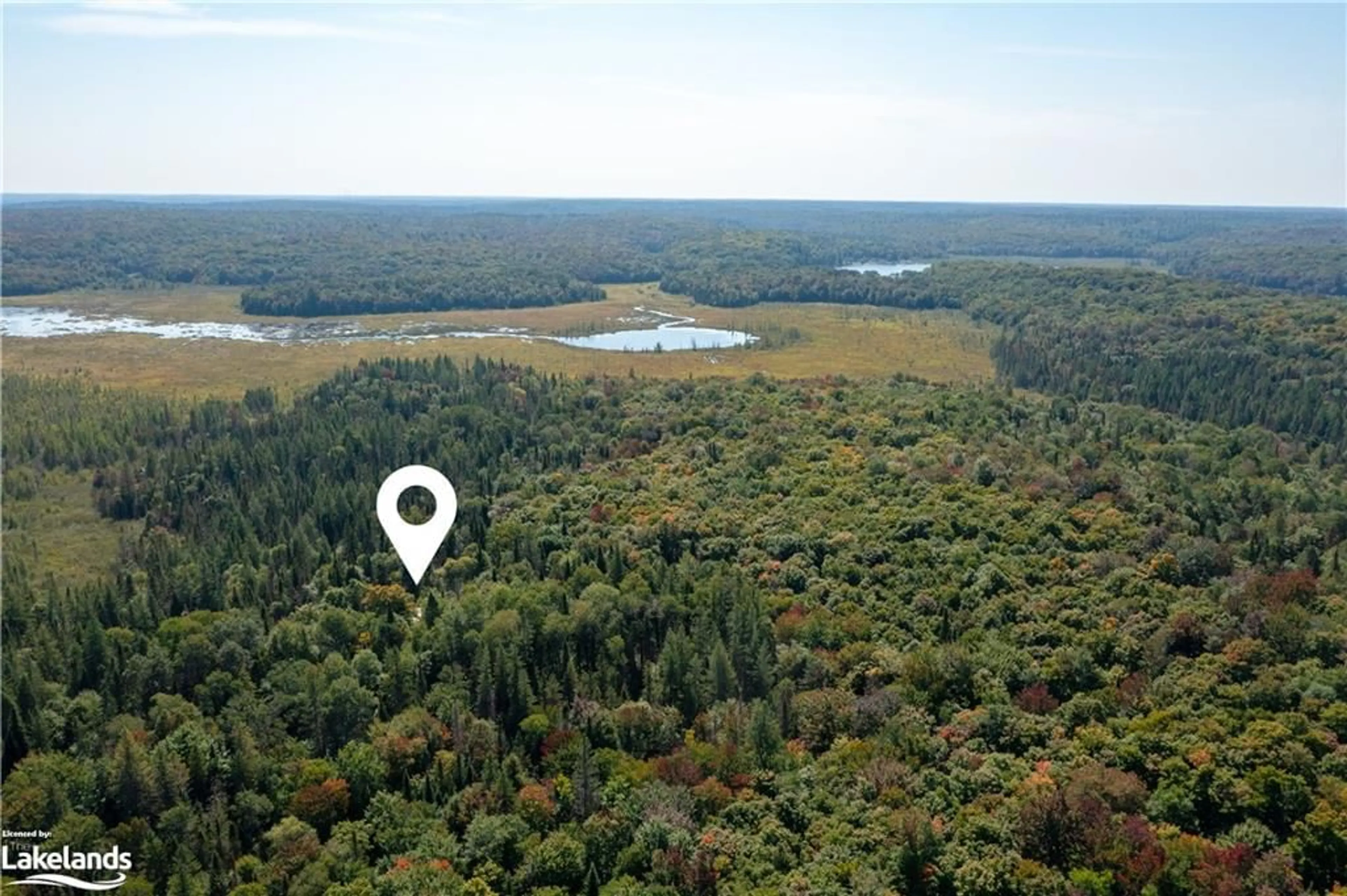 Forest view for LOT 15 Concession 11, Huntsville Ontario P0B 1M0