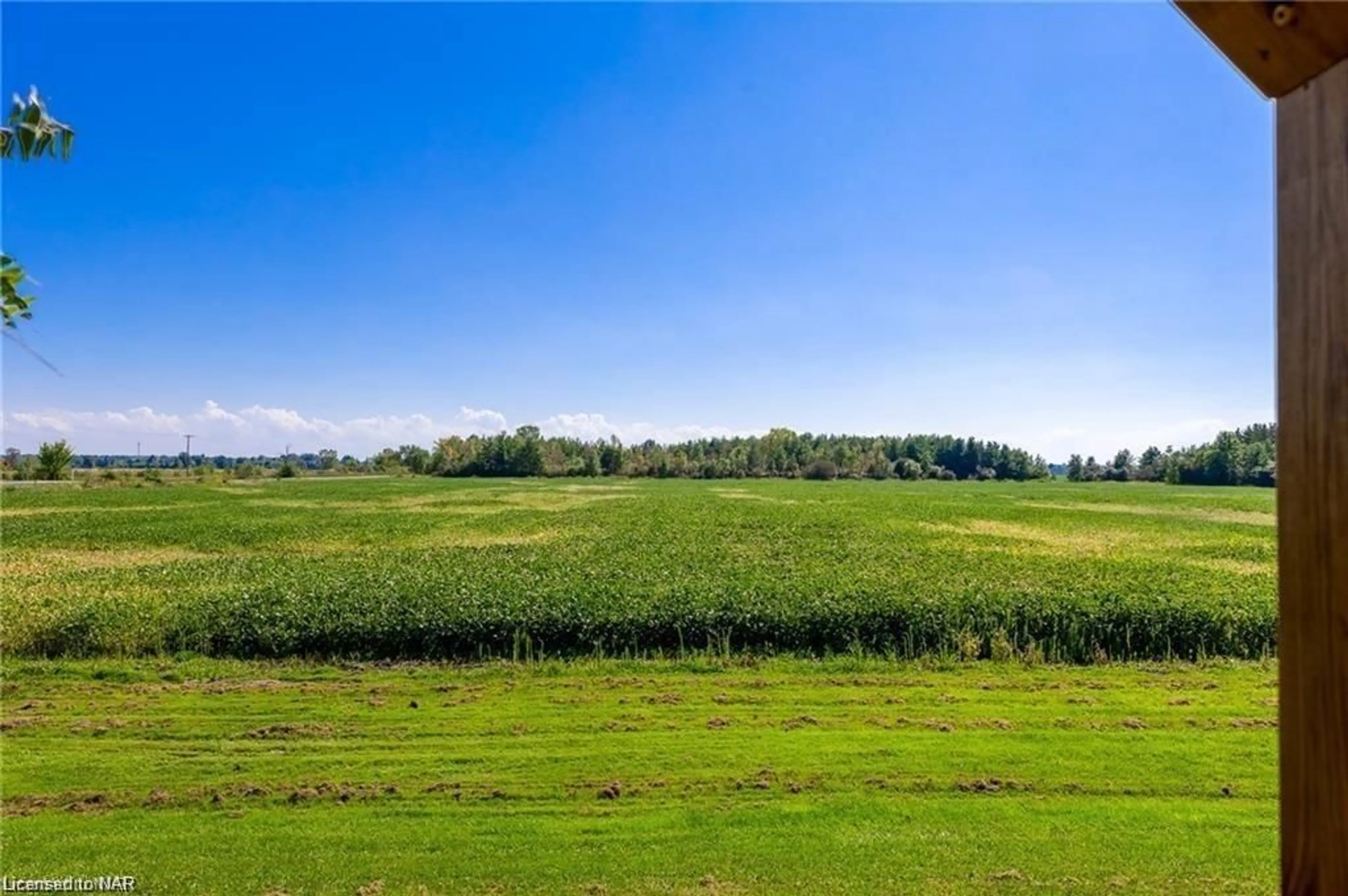 A pic from outside/outdoor area/front of a property/back of a property/a pic from drone, water/lake/river/ocean view for 797 Forks Rd, Welland Ontario L0S 1V0