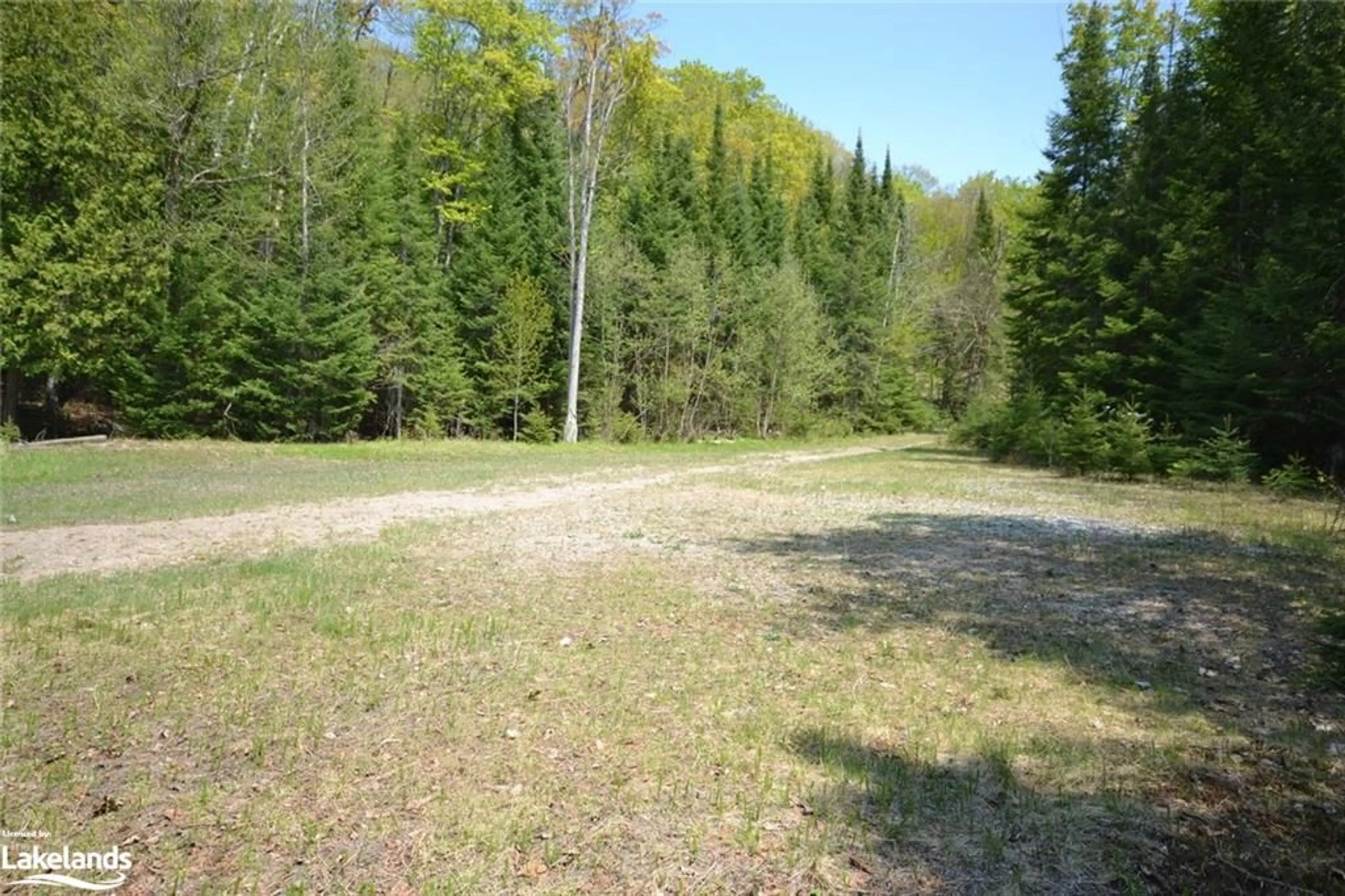 Patio, forest for 0 Between Lakes Trail, Haliburton Ontario K0M 1S0