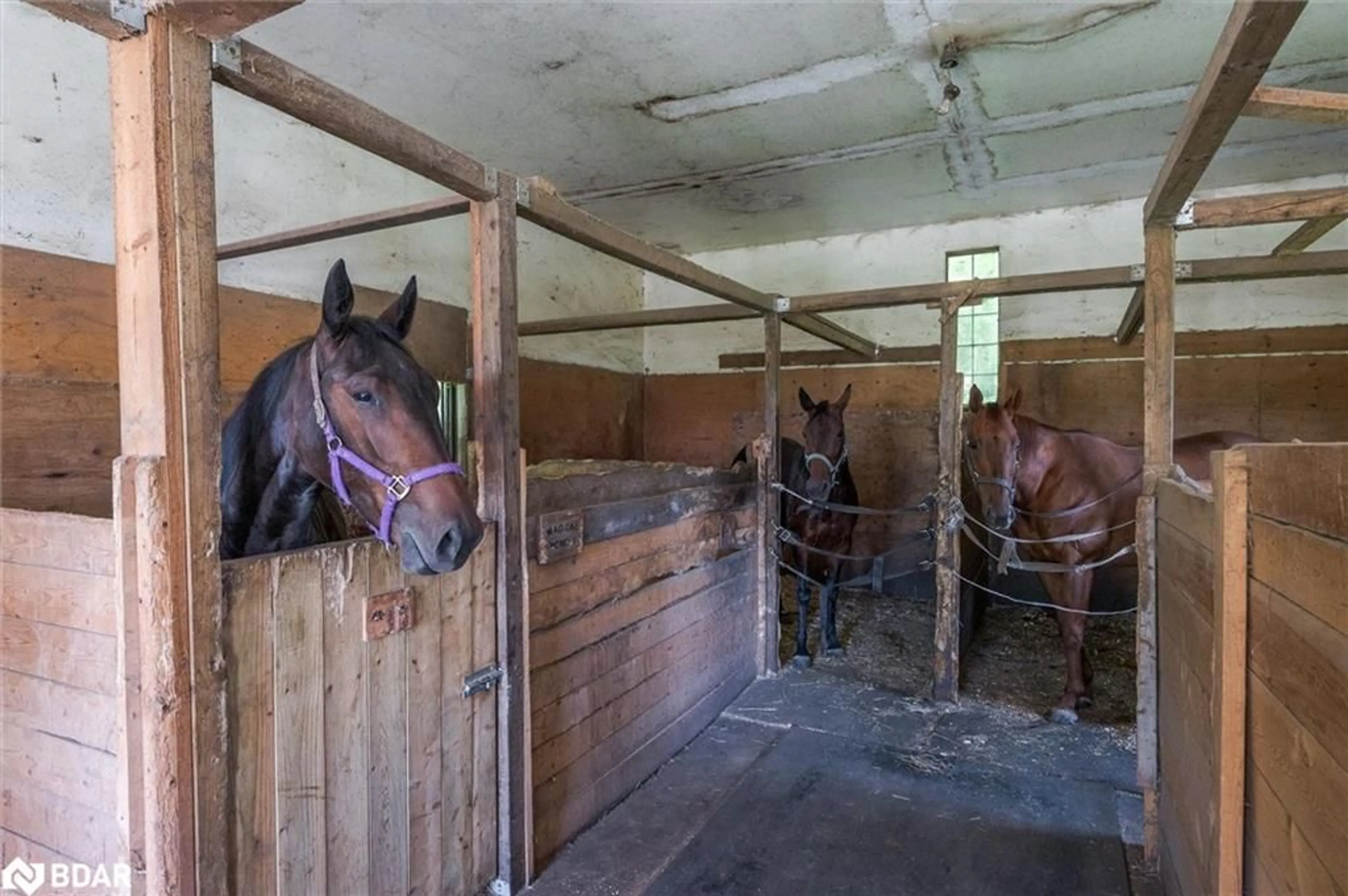 Other indoor space, unknown floor for 506 Cedar Glen Rd, Dunsford Ontario K0M 1L0