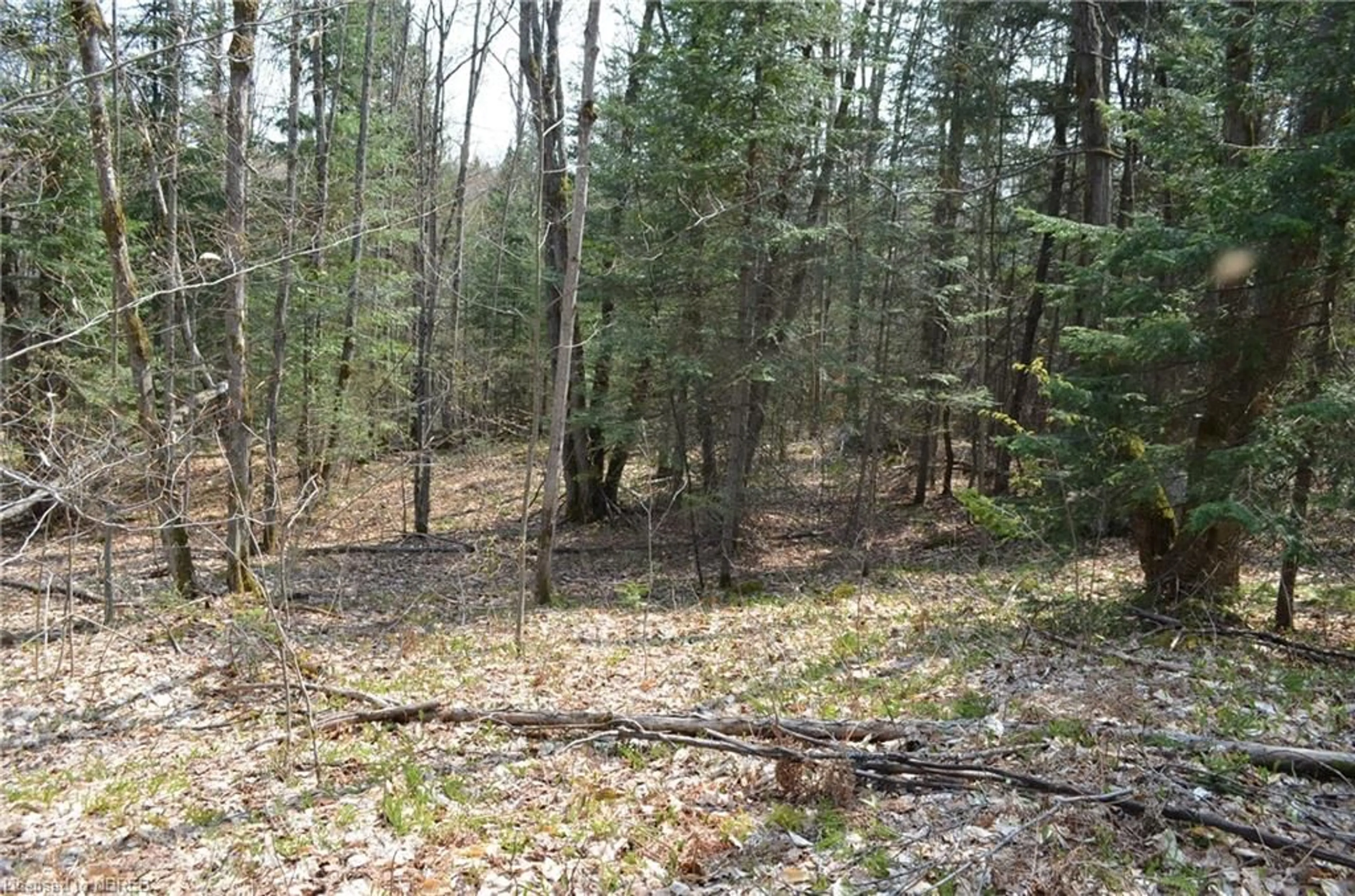 A pic of a room, unknown floor for LT 20 Con 3, Trout Creek Ontario P0H 2L0