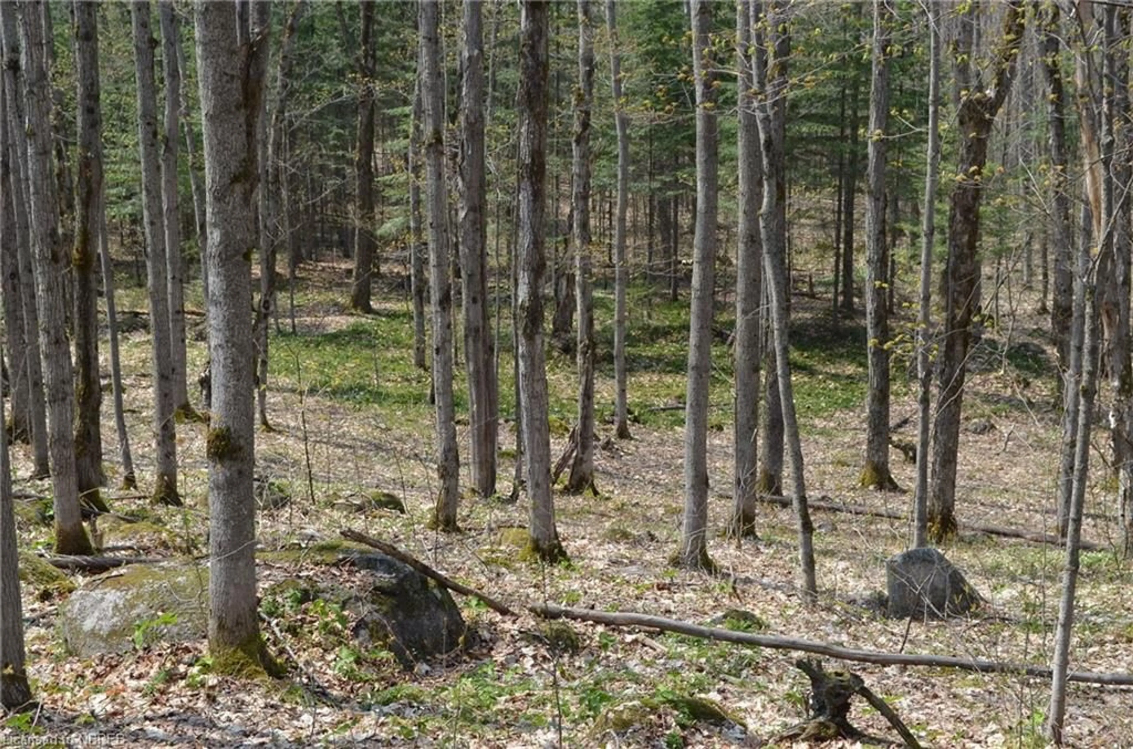 A pic of a room, unknown floor for LT 20 Con 3, Trout Creek Ontario P0H 2L0