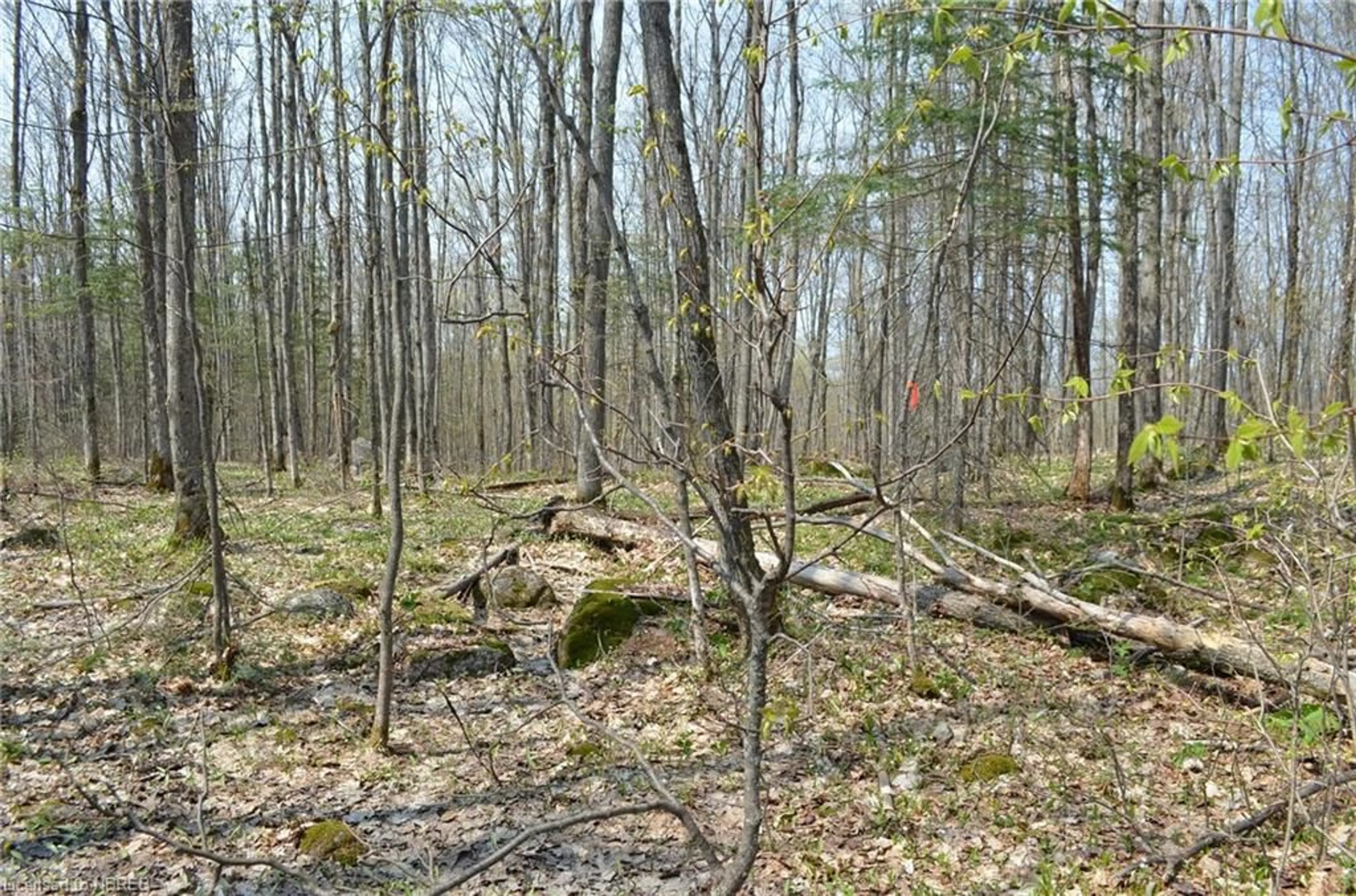 A pic of a room, unknown floor for LT 20 Con 3, Trout Creek Ontario P0H 2L0