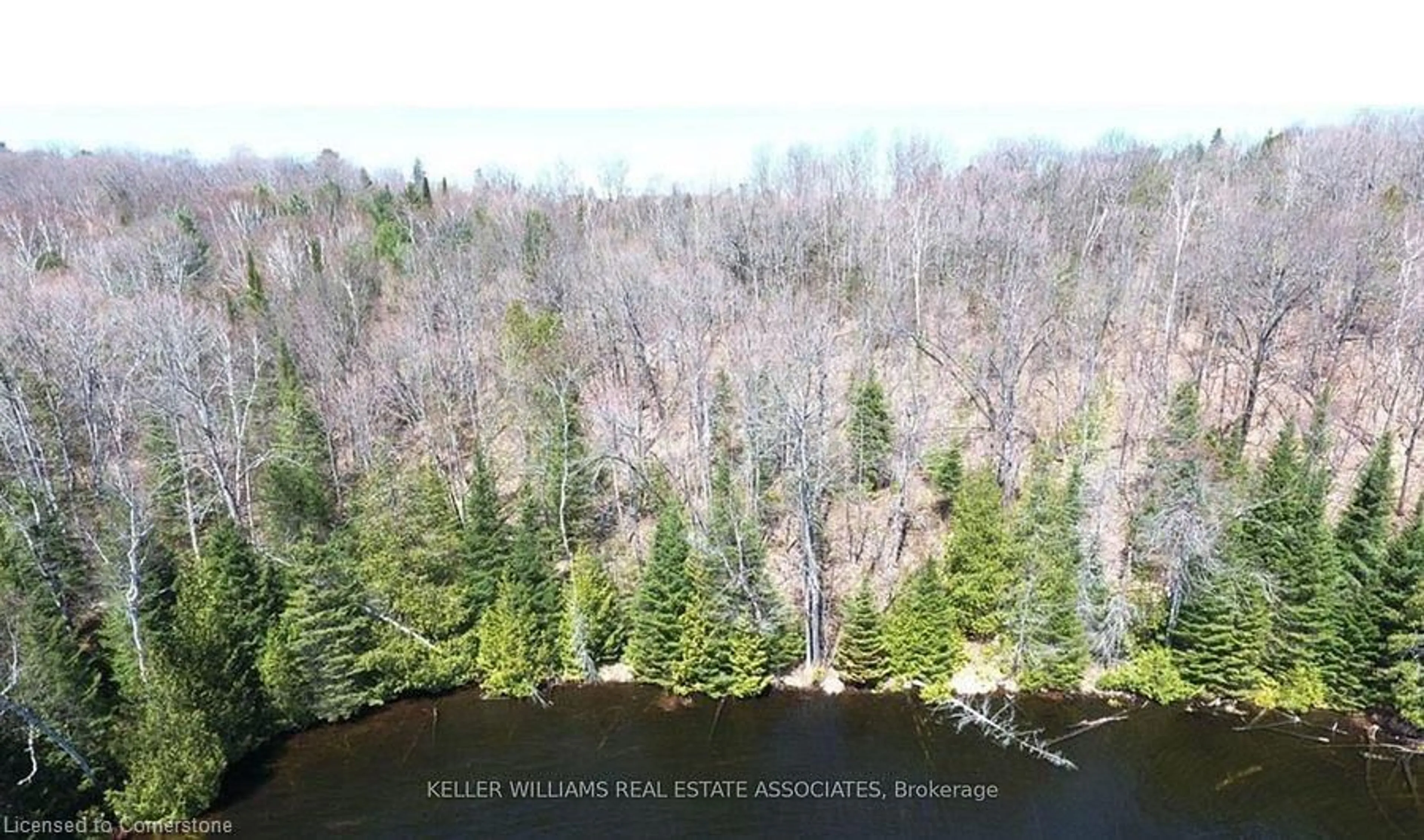 Media room, wood floors for 0 Contau Lake Rd, Haliburton Ontario K0M 1R0