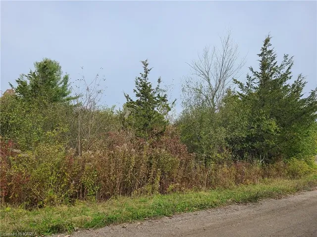 0 Selton Rd, Lansdowne 2