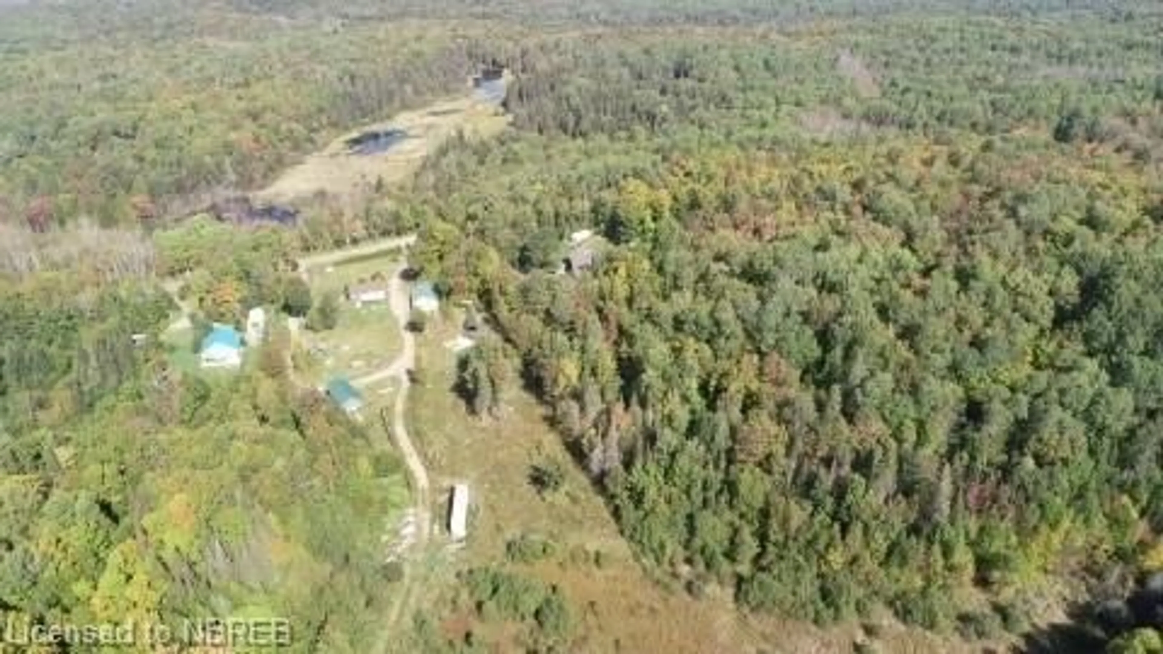 Forest view for 292 Grand Desert Rd, Bonfield Ontario P0H 1E0